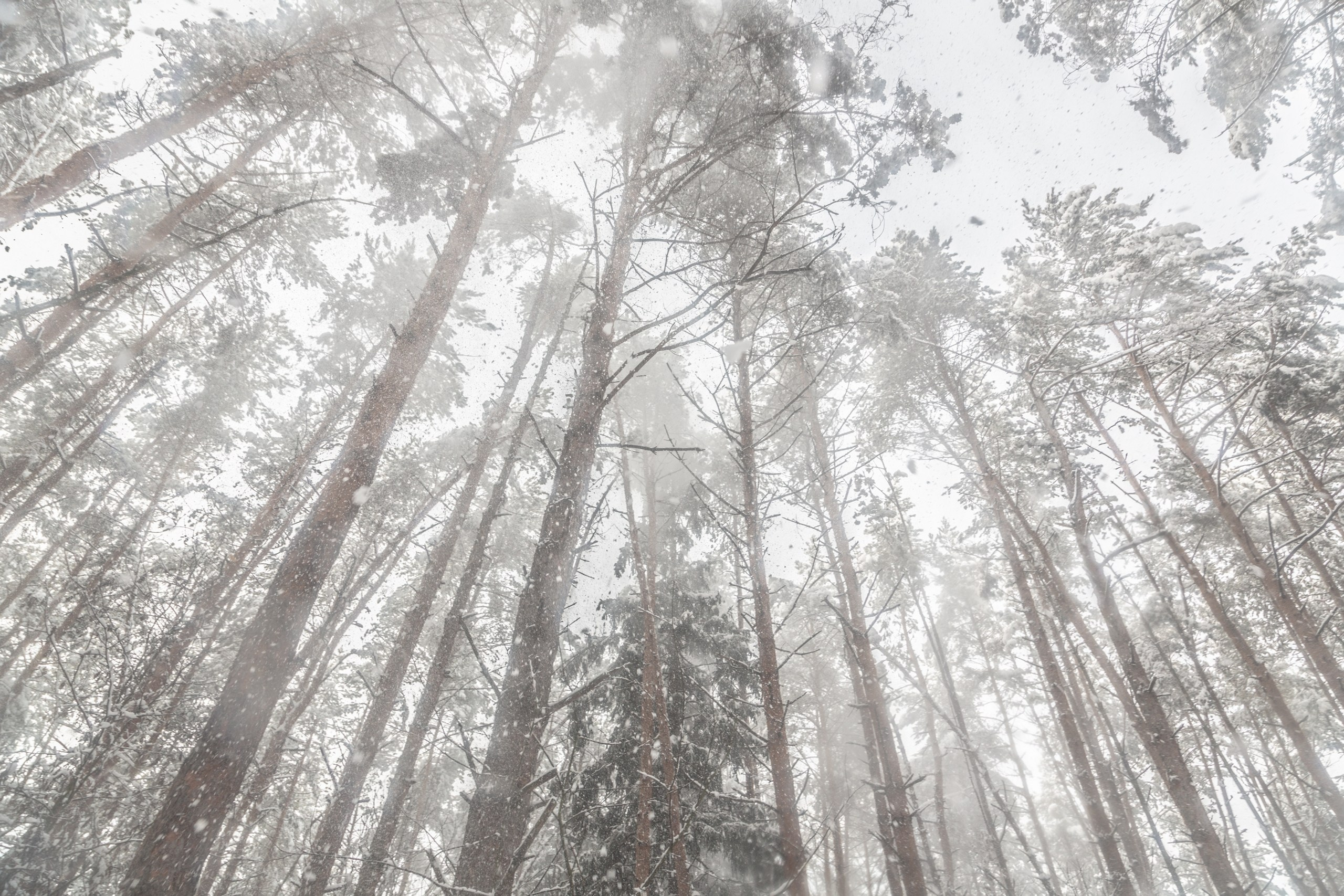 Средняя полоса России. Фотограф Владимир Медведев
