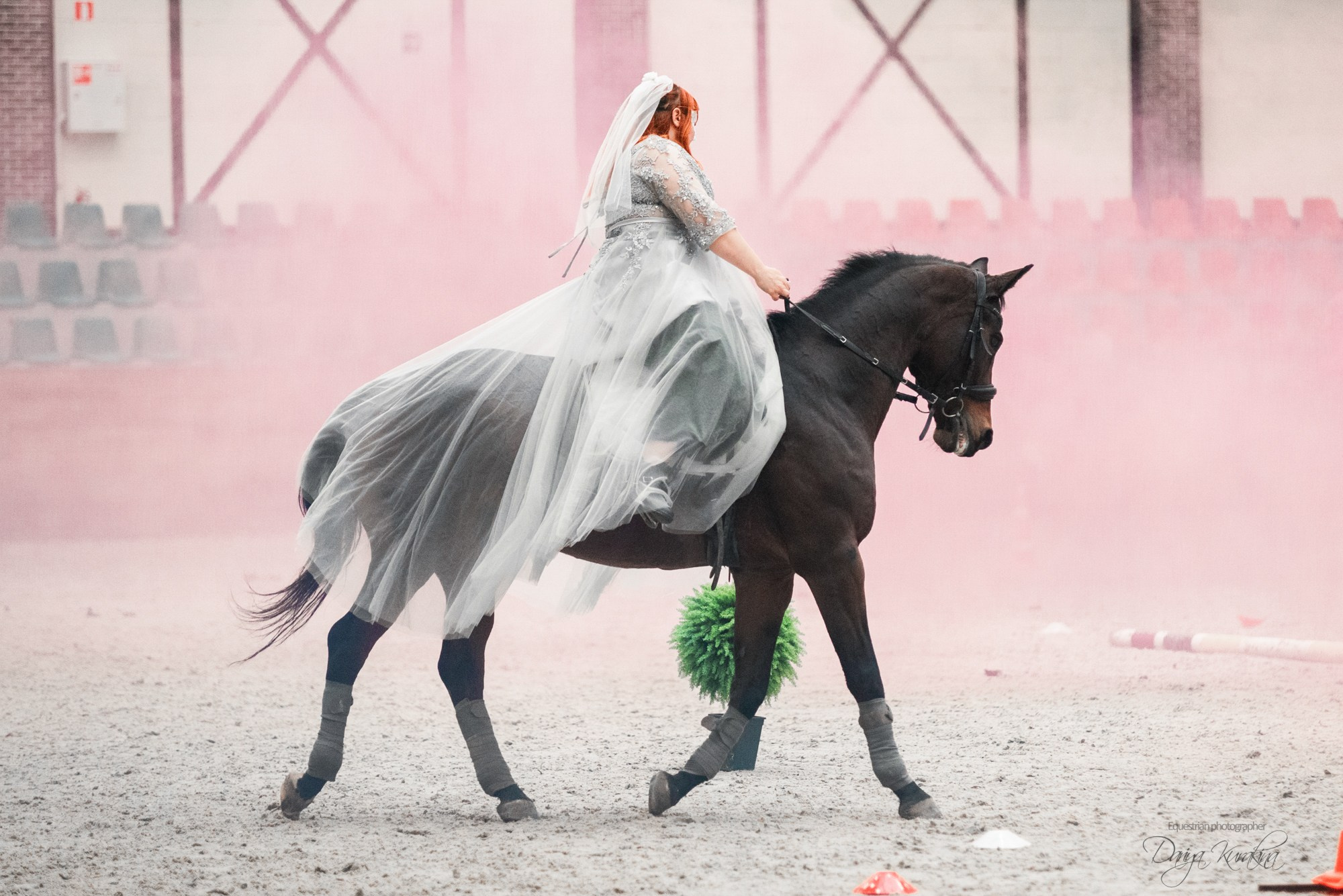 8-я международная выставка Конная Россия. Конный фотограф Куракина Дарья • Фотосессии с лошадьми