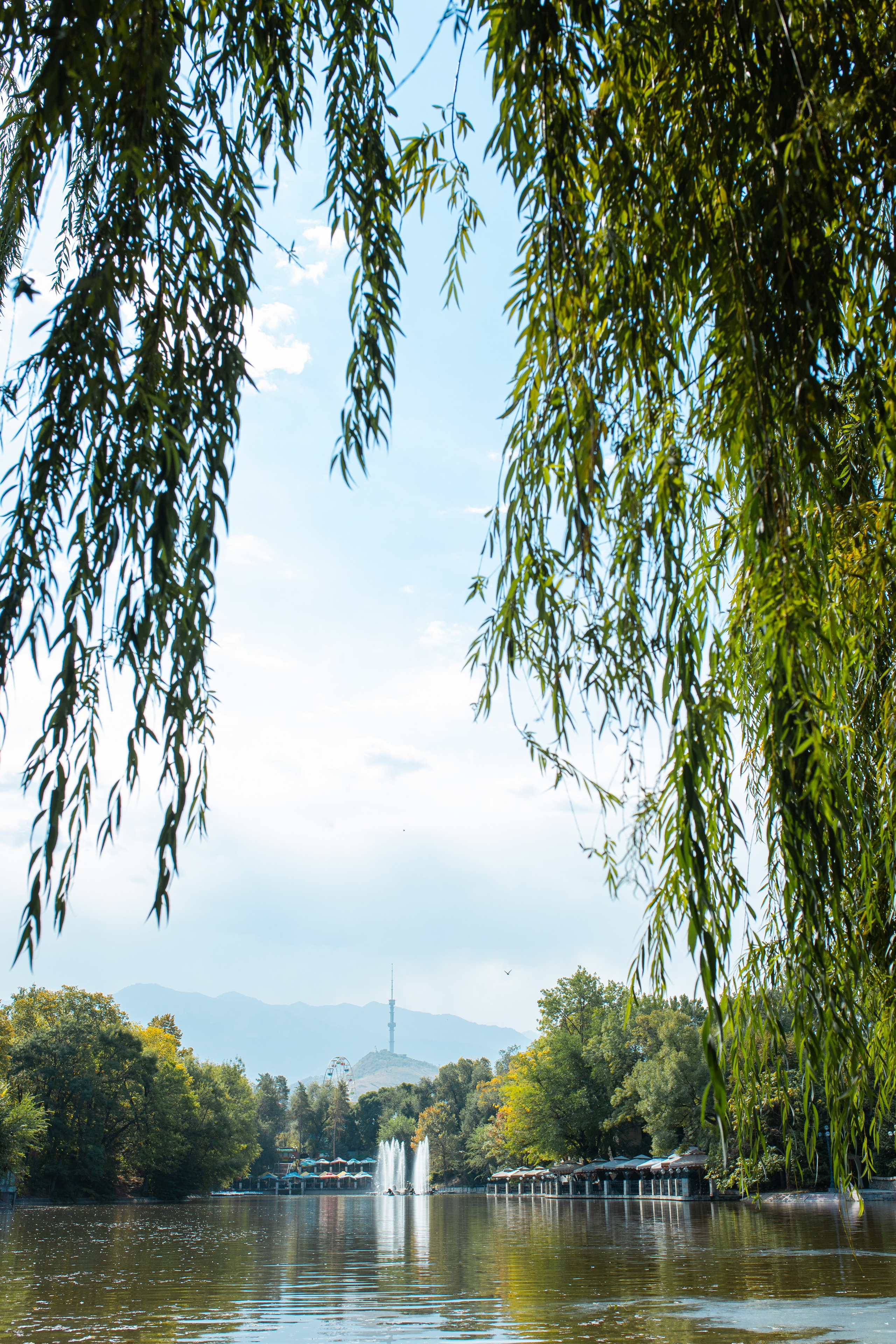 Как я собрал «Монстра» из ретро-оптики Tokina 200 mm f/3.5 и протестировал её на современной Canon R6 Mark II. Коммерческий и репортажный фотограф в Алматы — Jora Abramov