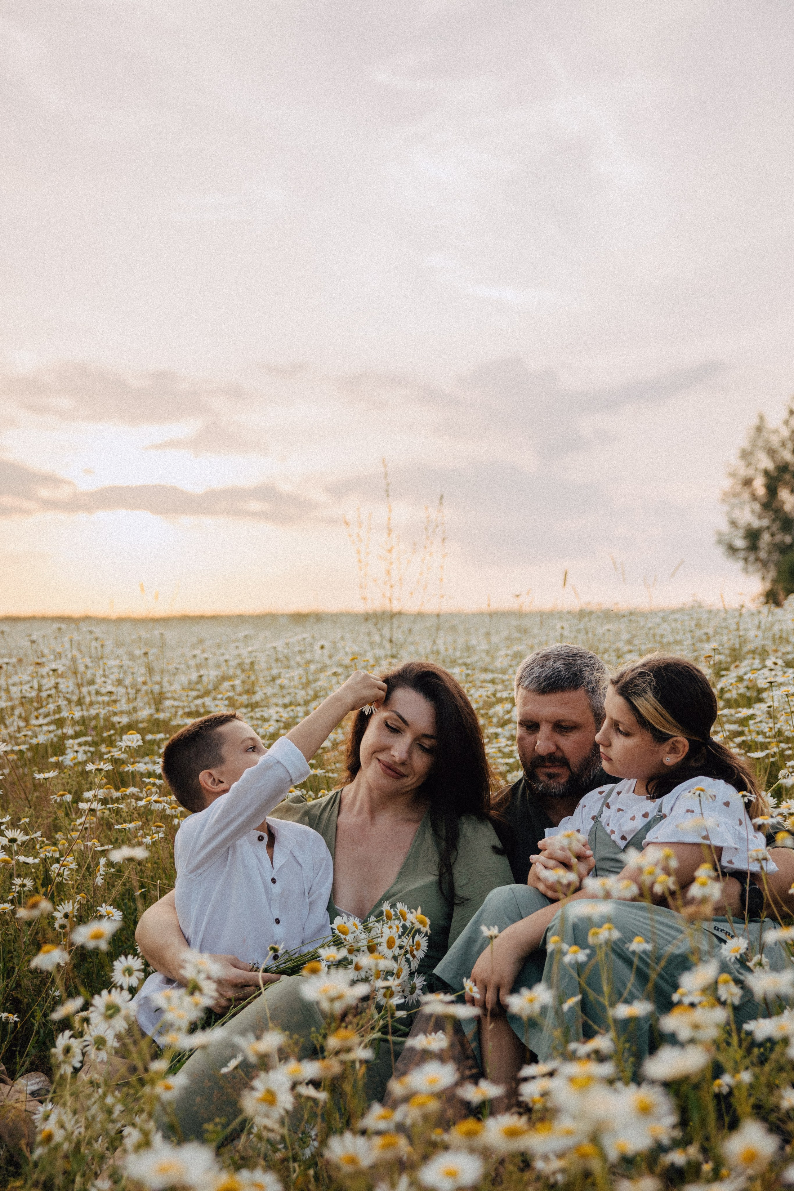 Ромашковое поле. Семейный и свадебный фотограф в Москве Вероника Жибинова