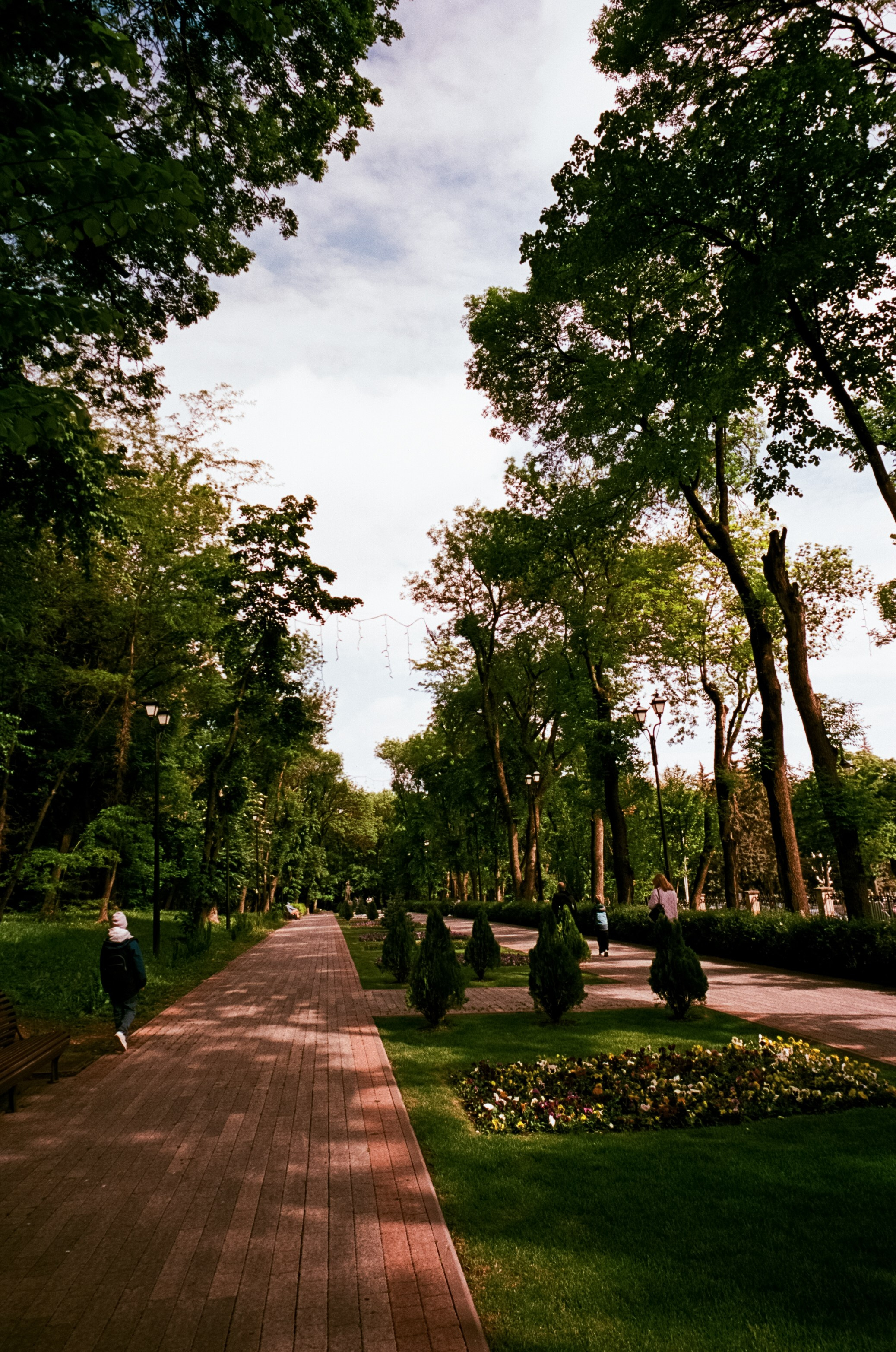 6 мая Парк Ессентуки / Voigtlander BESSA-T / Kodak Aerocolor IV