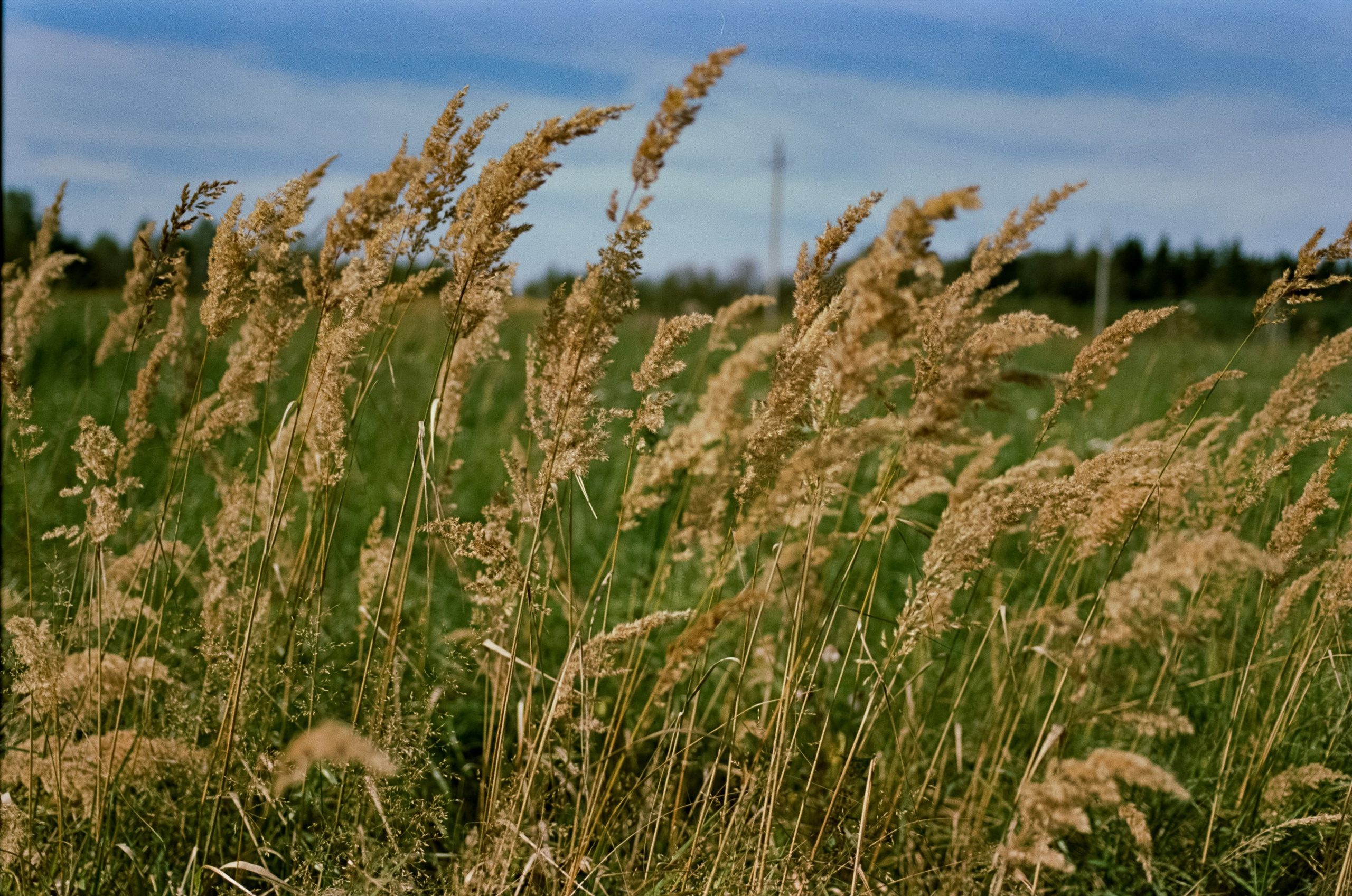 Mamiya 645 PRO обзор и примеры фотографий