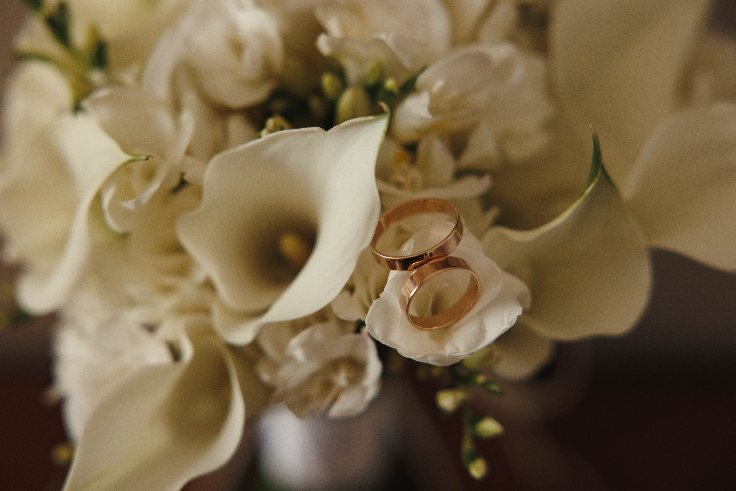 Полина и Владимир. Галерея