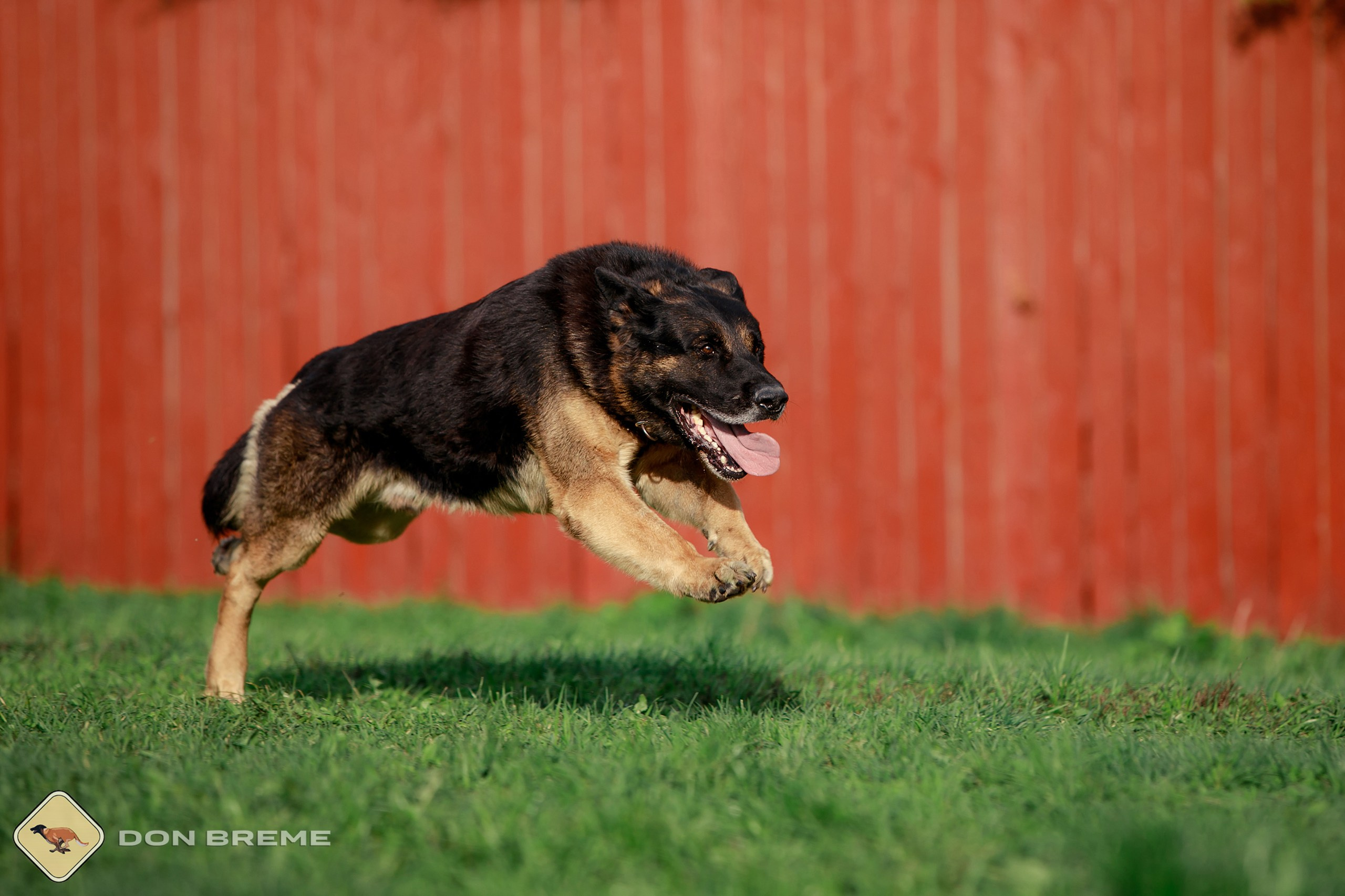 Семинар для фигурантов, день 2. Фотограф-анималист Mary Mart — Москва, Питер