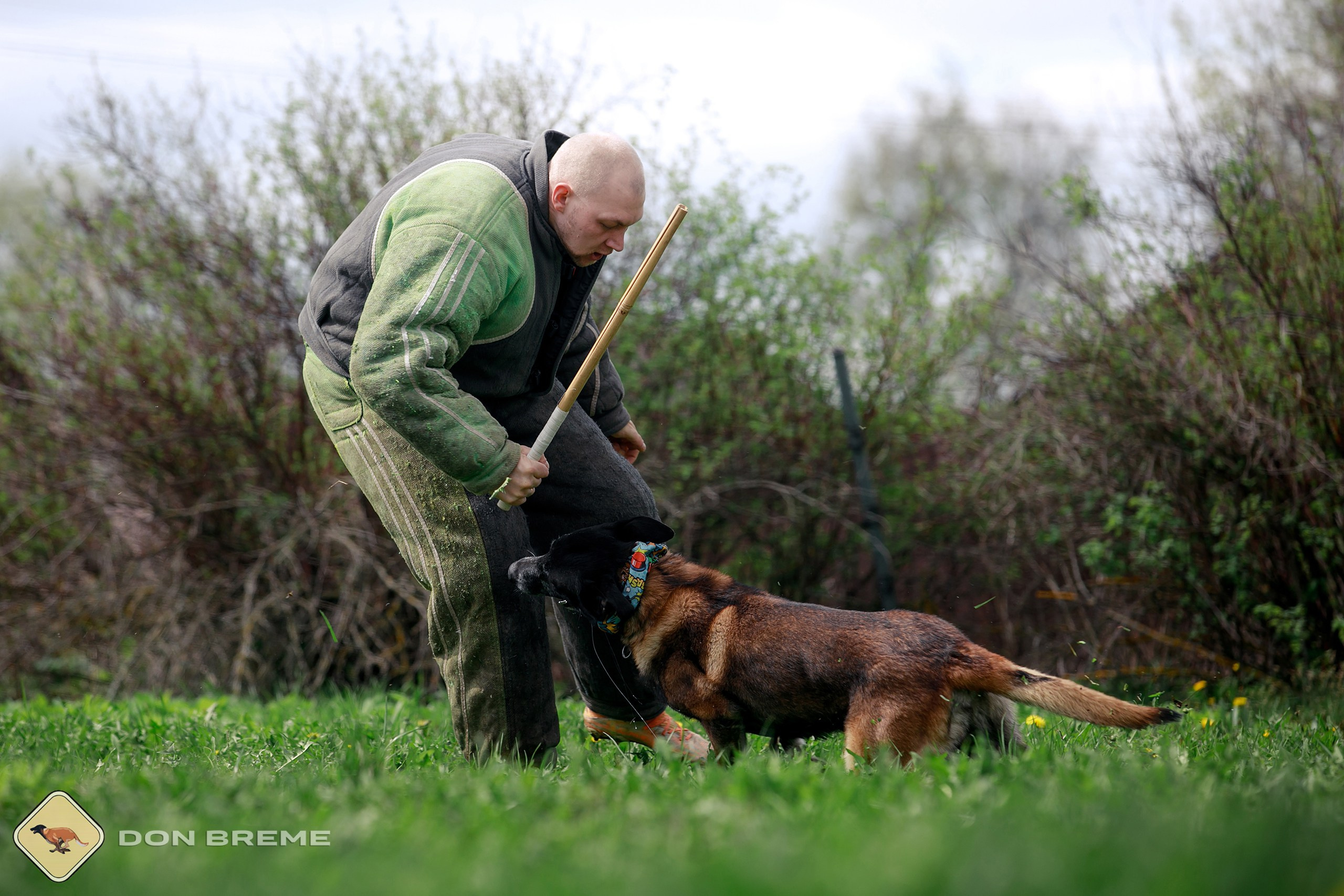 Семинар для фигурантов, день 2. Фотограф-анималист Mary Mart — Москва, Питер