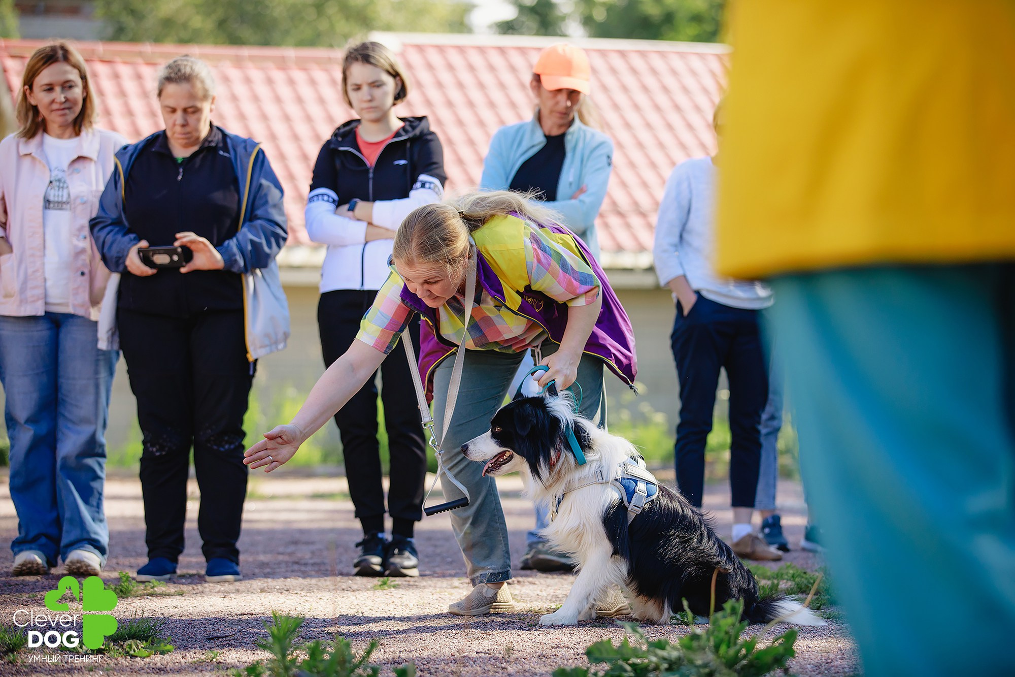 Семинар по поиску запаха с Иваном Ломовым, организатор CleverDog, СПб. Фотограф-анималист Mary Mart — Москва, Питер