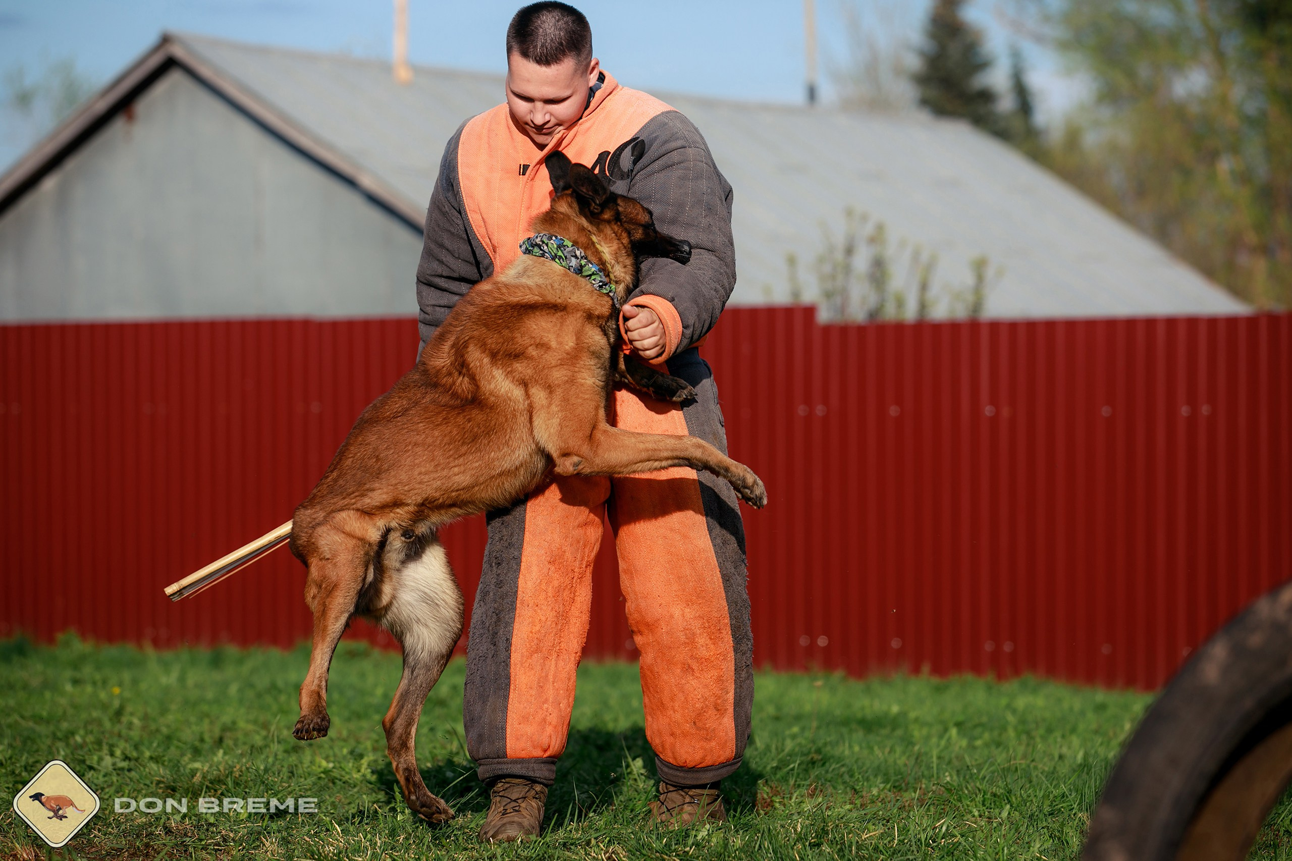 Семинар для фигурантов, день 2. Фотограф-анималист Mary Mart — Москва, Питер