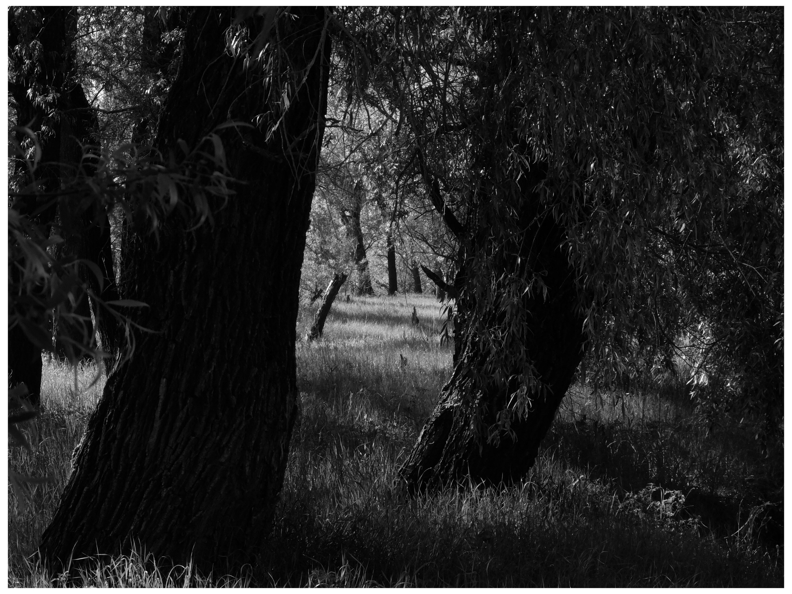 Промежуточные моменты (2022)