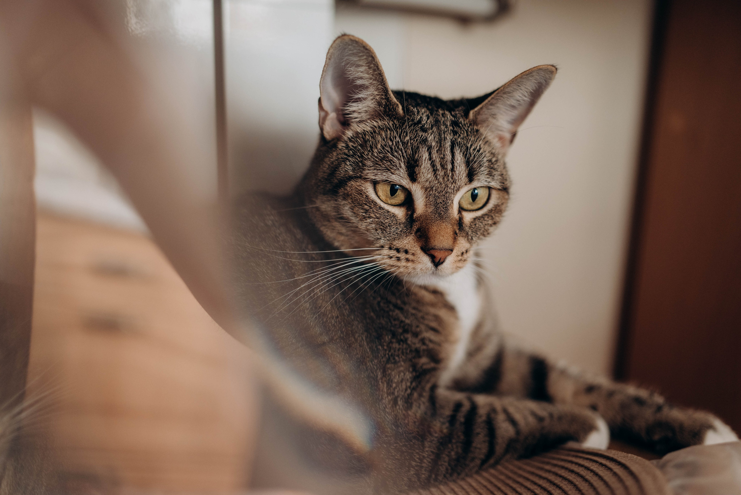 Двойное счастье. Семейный и женский фотограф Вероника Никкор