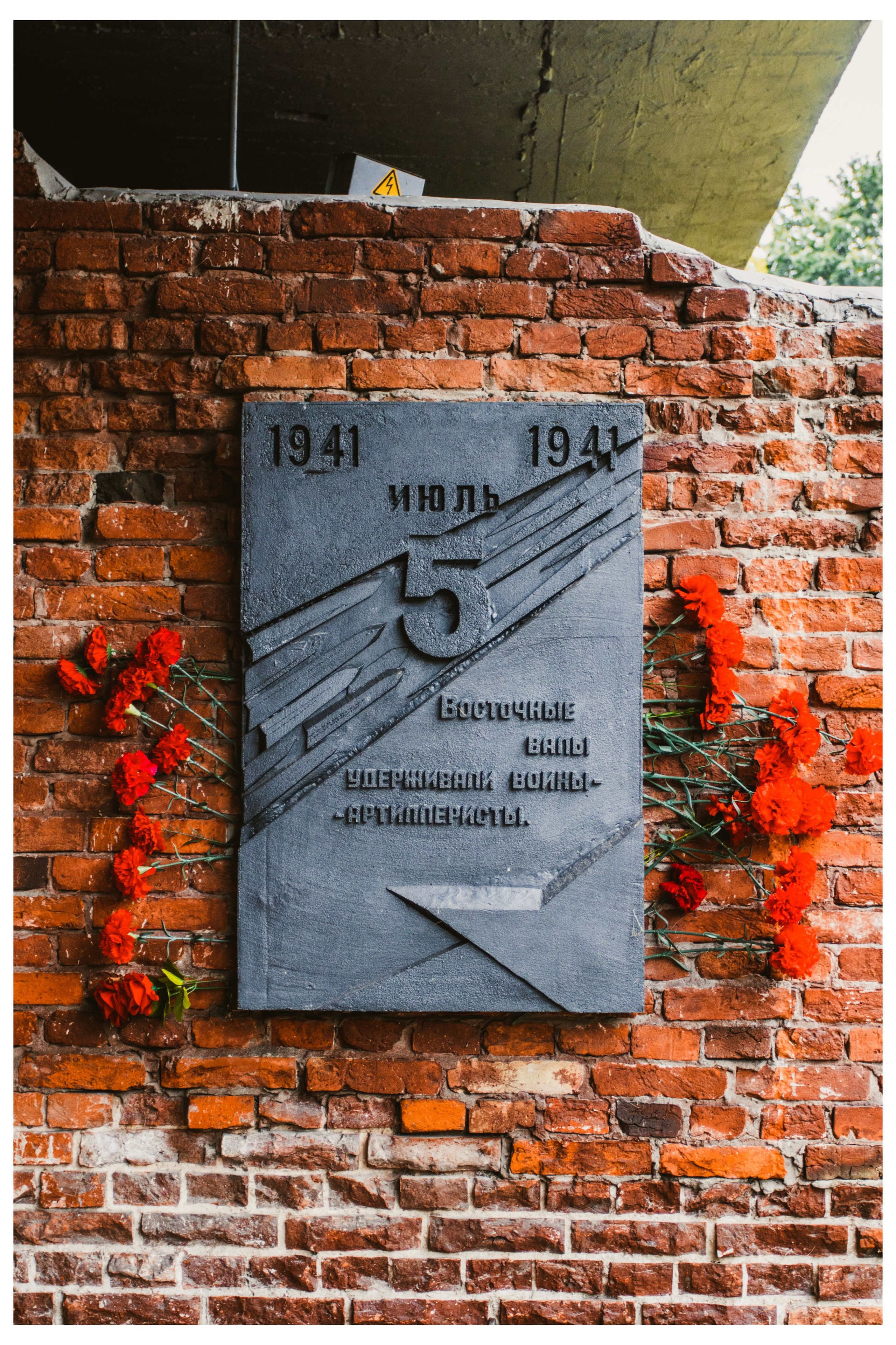 Эстетика. Фотограф Елена Ярмуш