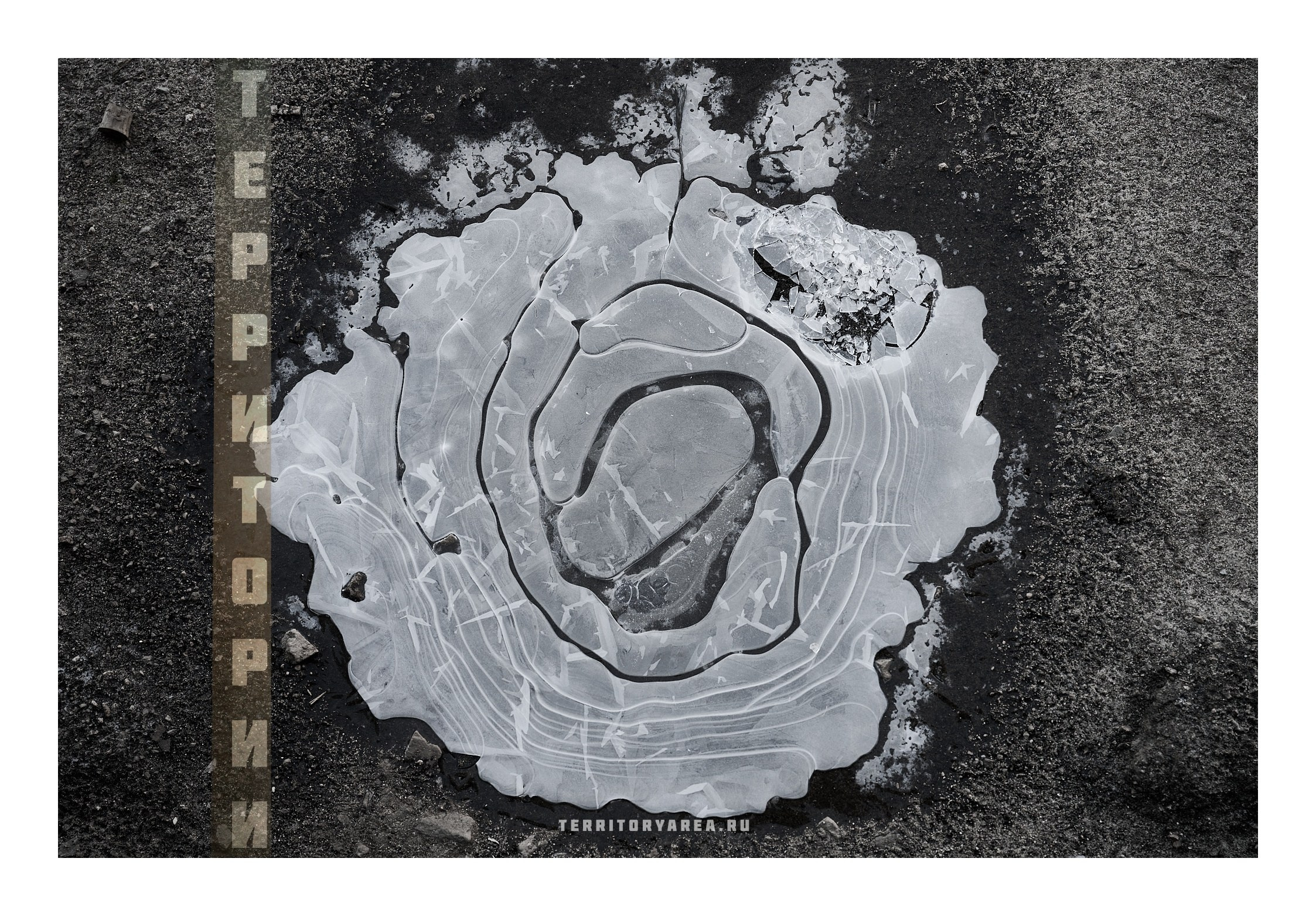 Фотопринты А3. Фотопроект «Территории»