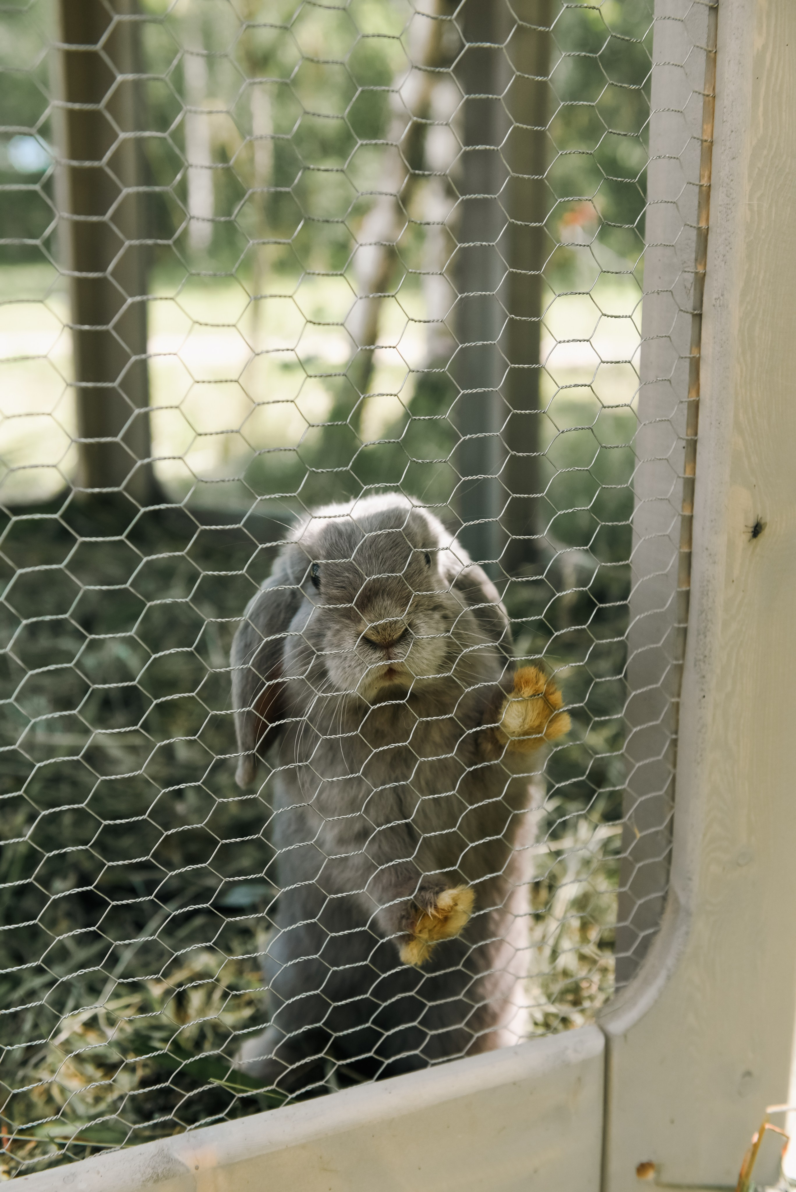 Green house. Фотограф, визажист. Москва