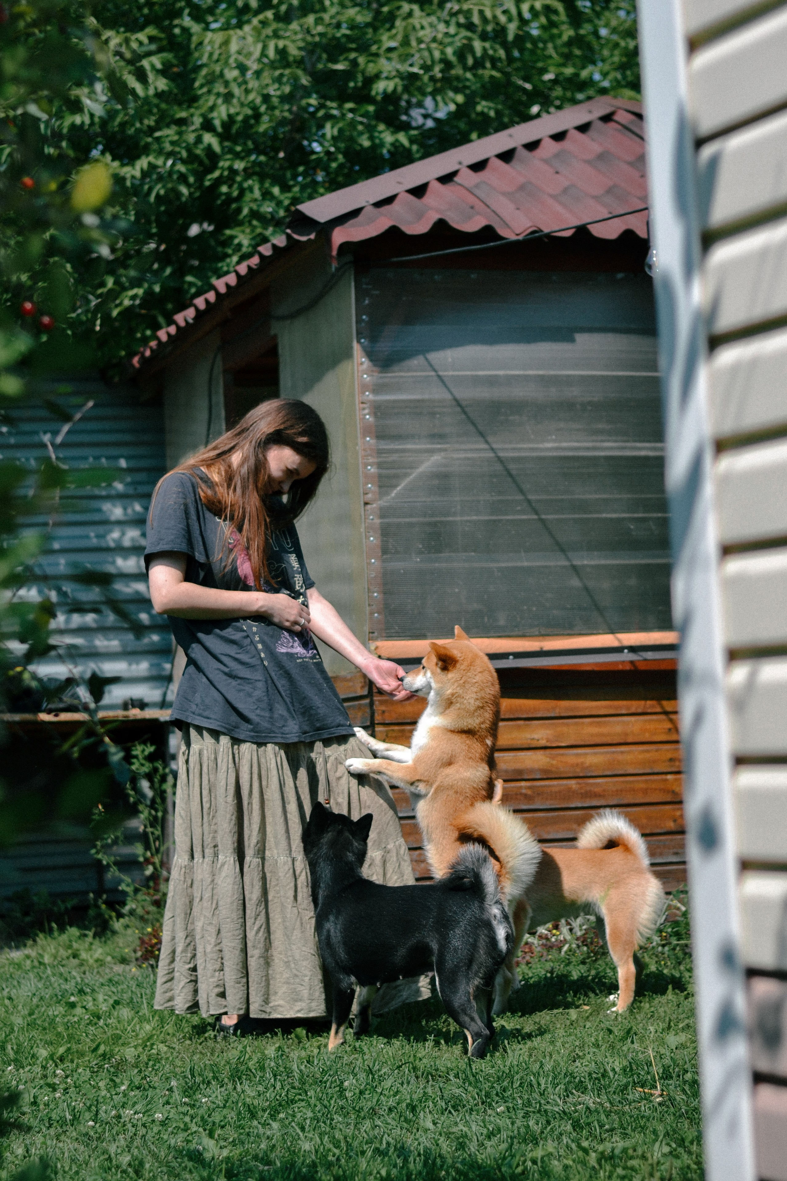 Матвей и Катя. Фотограф Ольга Дмитриева. Новосибирск