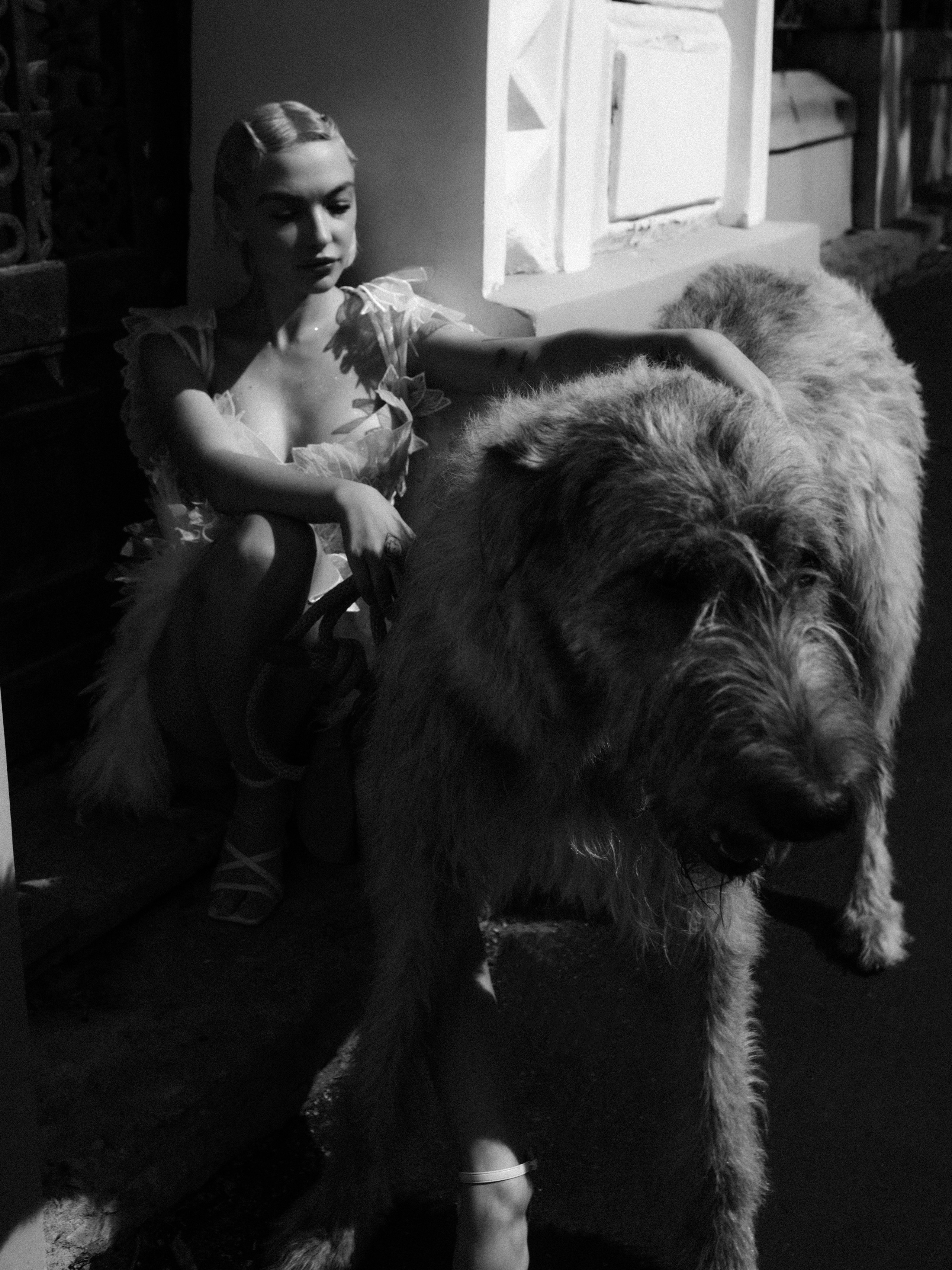 Dogbar. Dariaegudina.ru