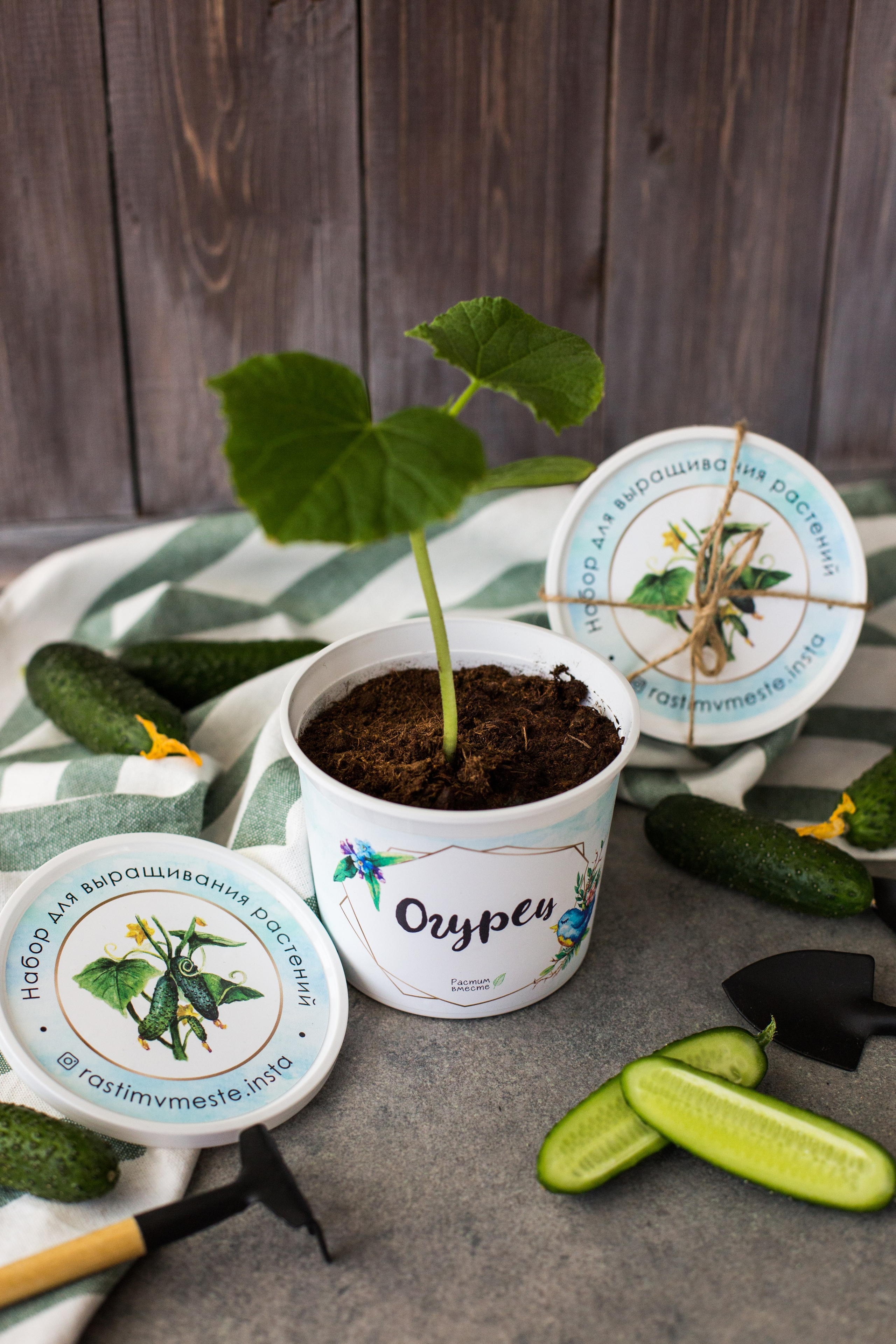 Растим вместе. Главная