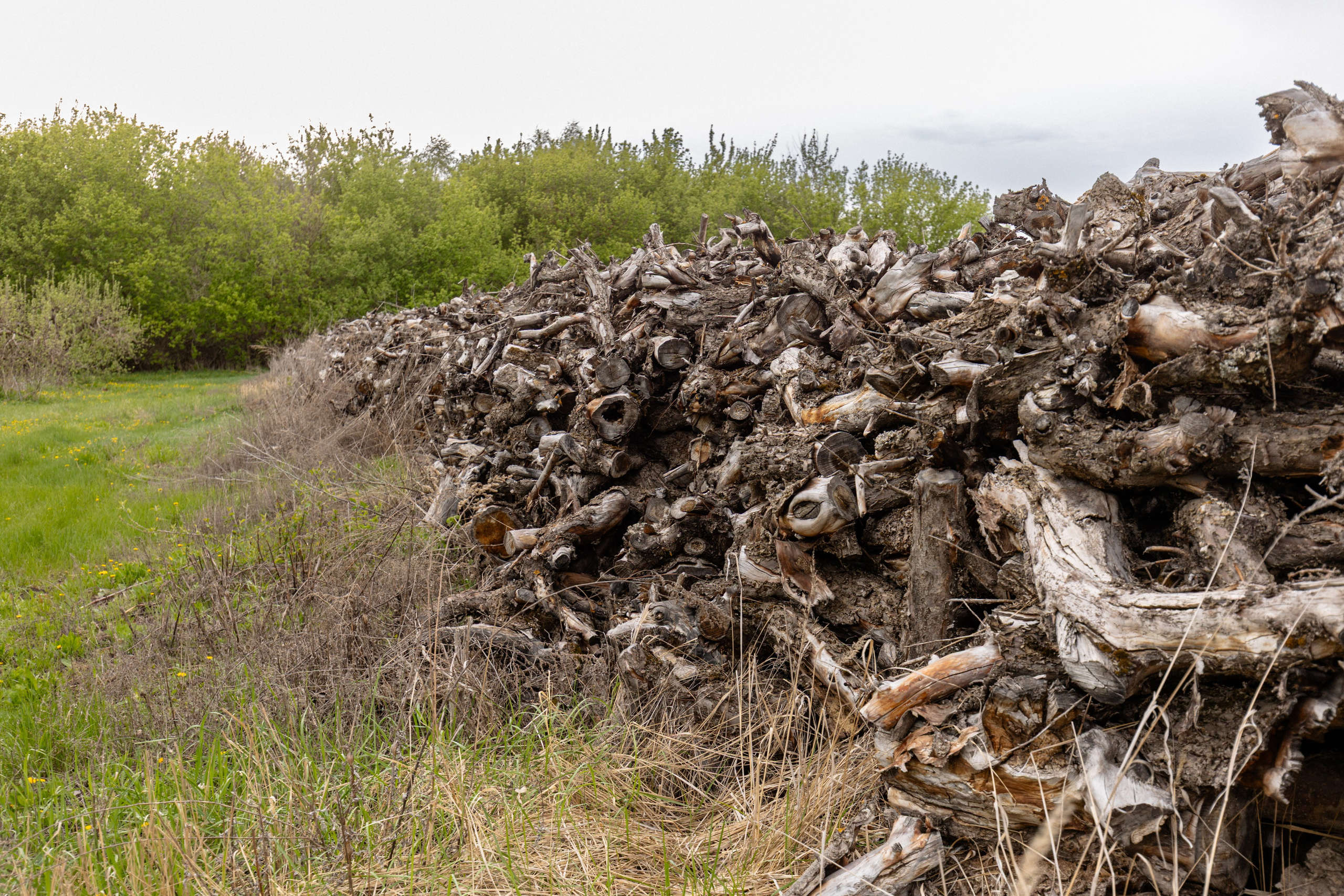 Приусадебный участок. Владислав Волков | Фотография и видеосъемка в Воронеже