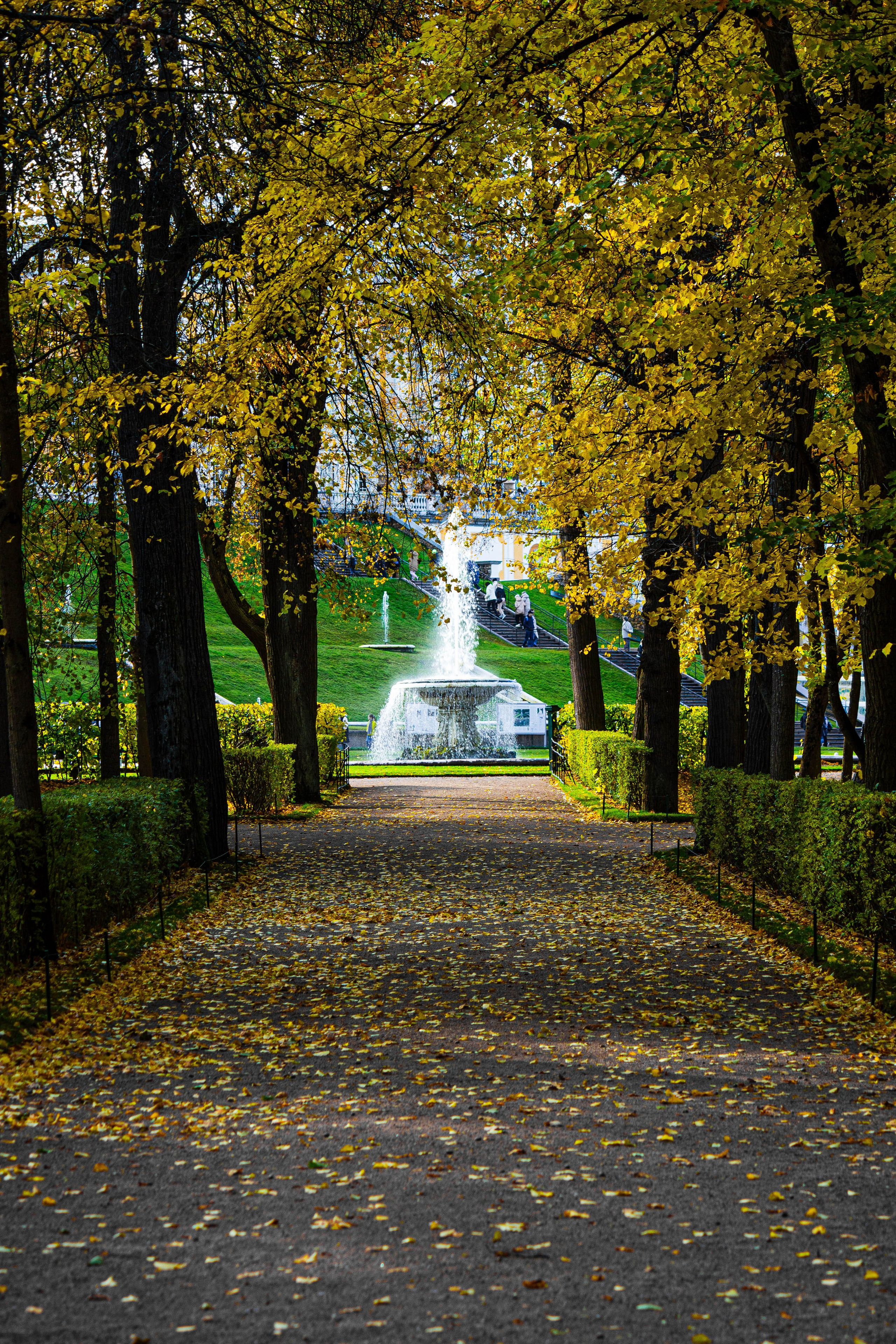 Петергоф. Maks Mironov