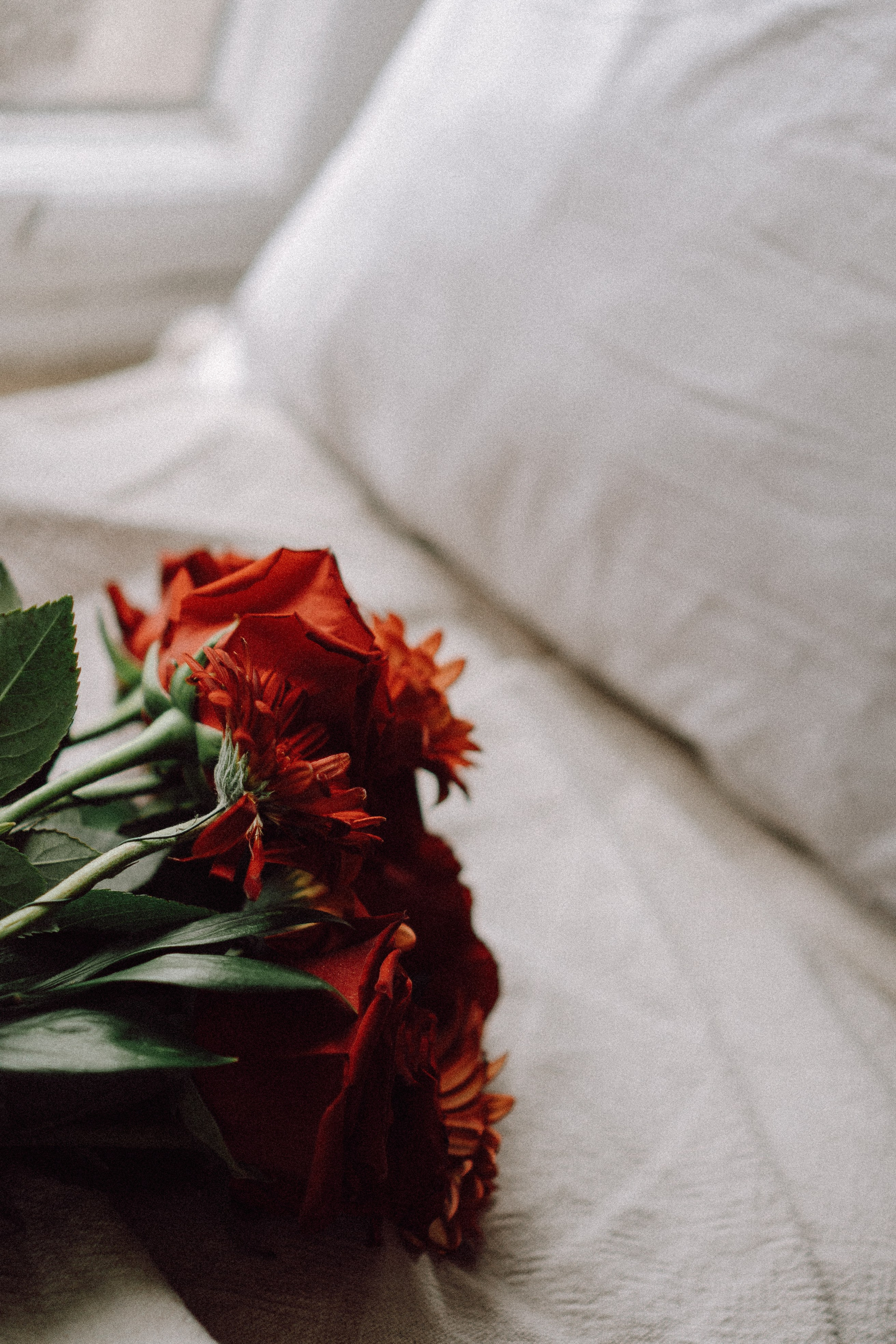 Новогодний стиль вдвоем. Профессиональный фотограф, Санкт-Петербург — Виктория Богомолова