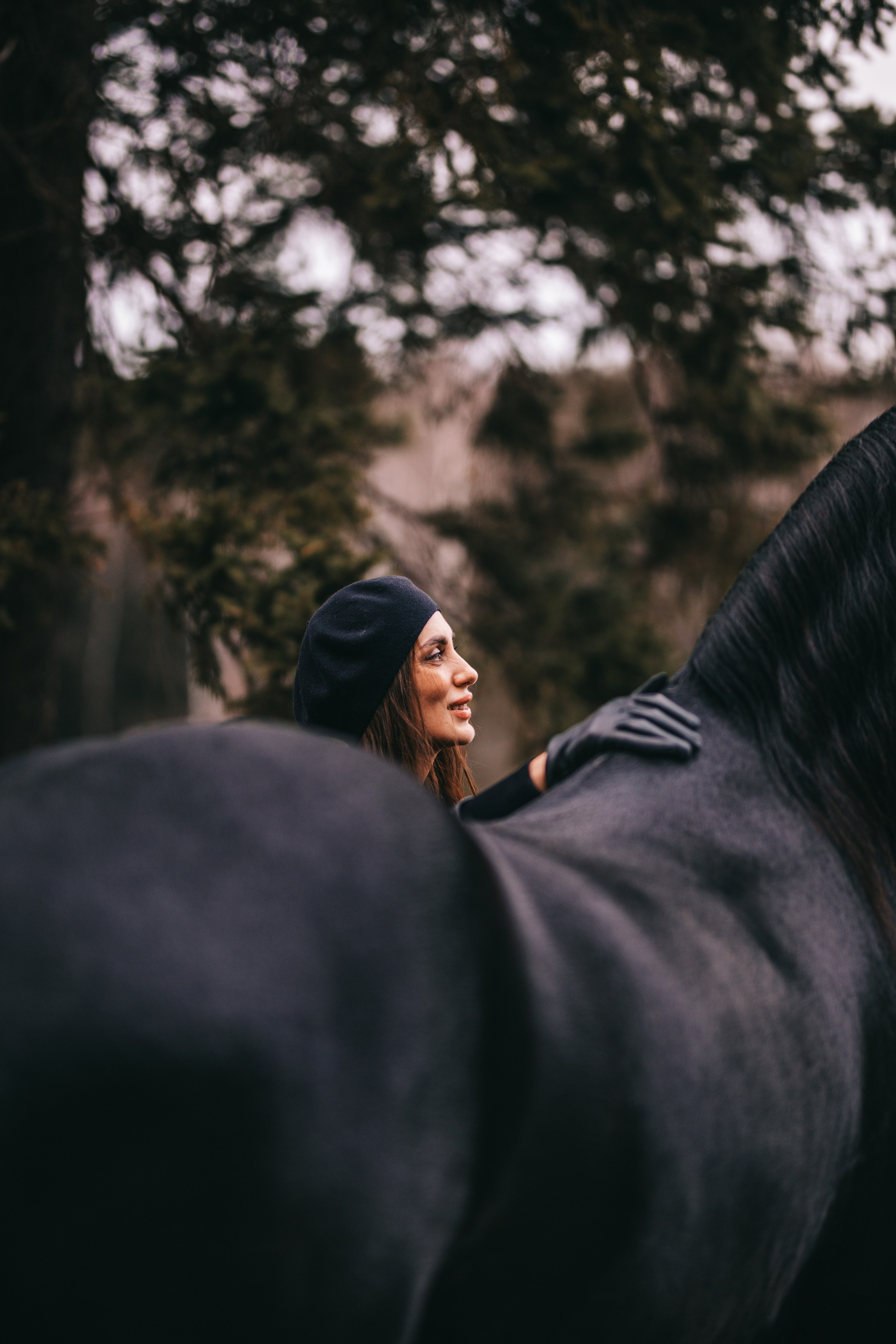 Фотосессии с лошадьми