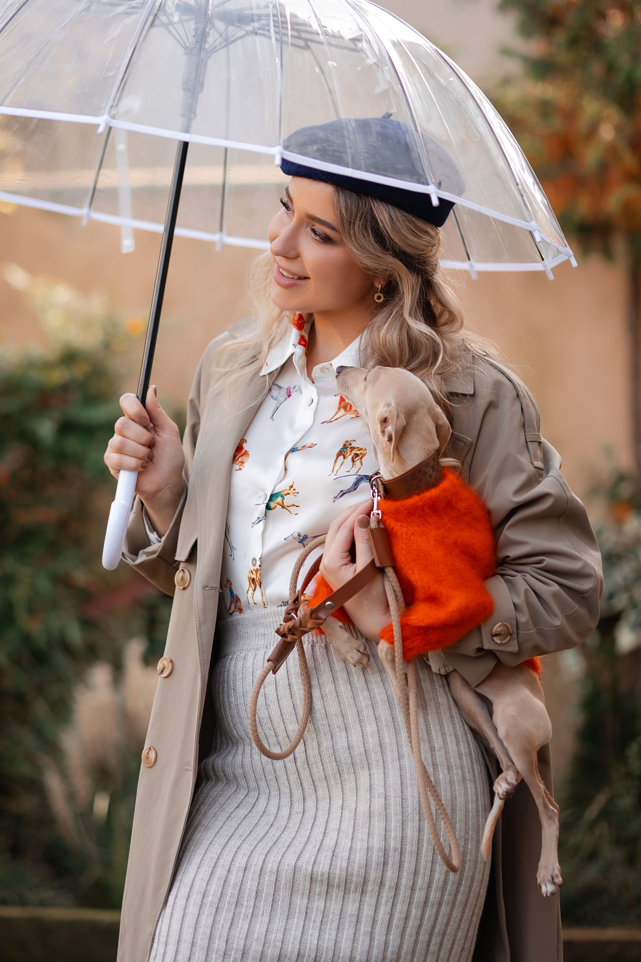 Прогулки. Профессиональный питомник левреток РКФ/FCI ASTI SAPPHIRE 💎 Сочи|Санкт-Петербург