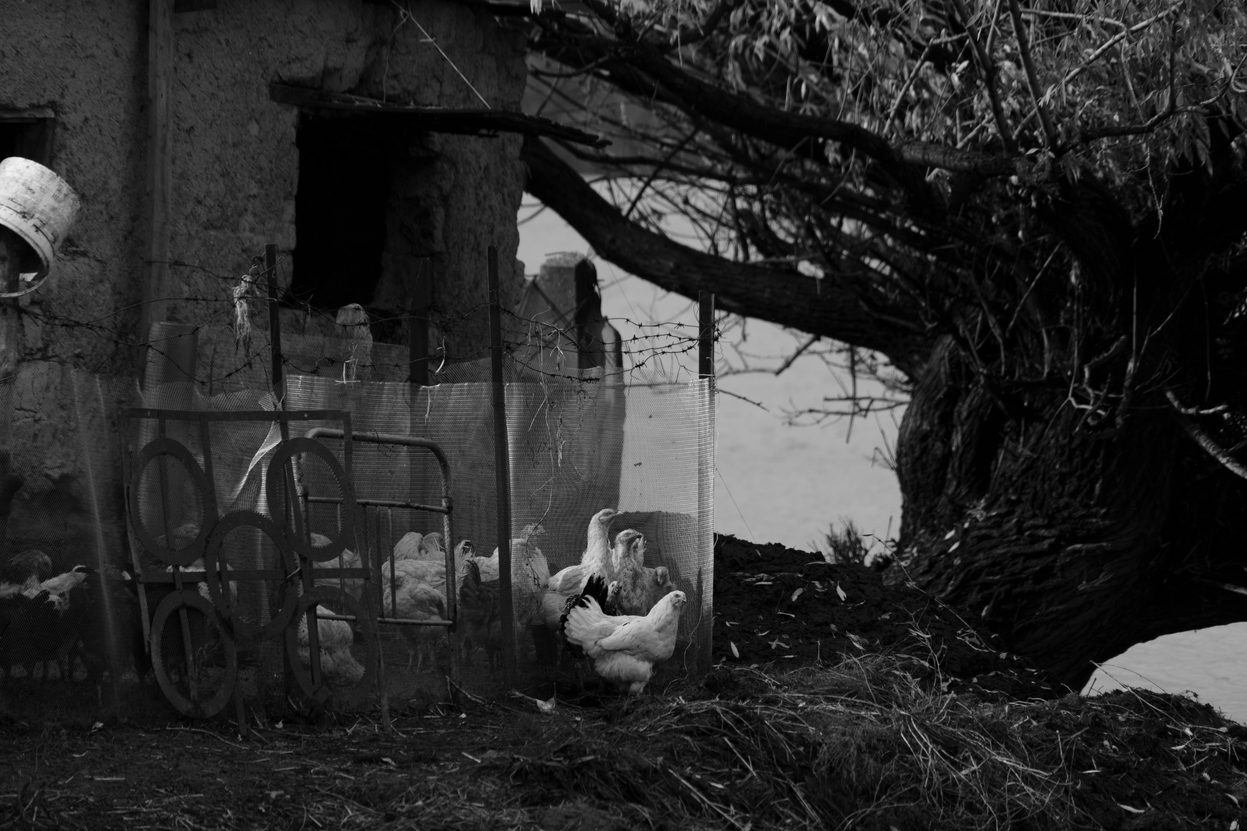 Бекстейдж сьемки кино. Профессиональная съемка в Алматы