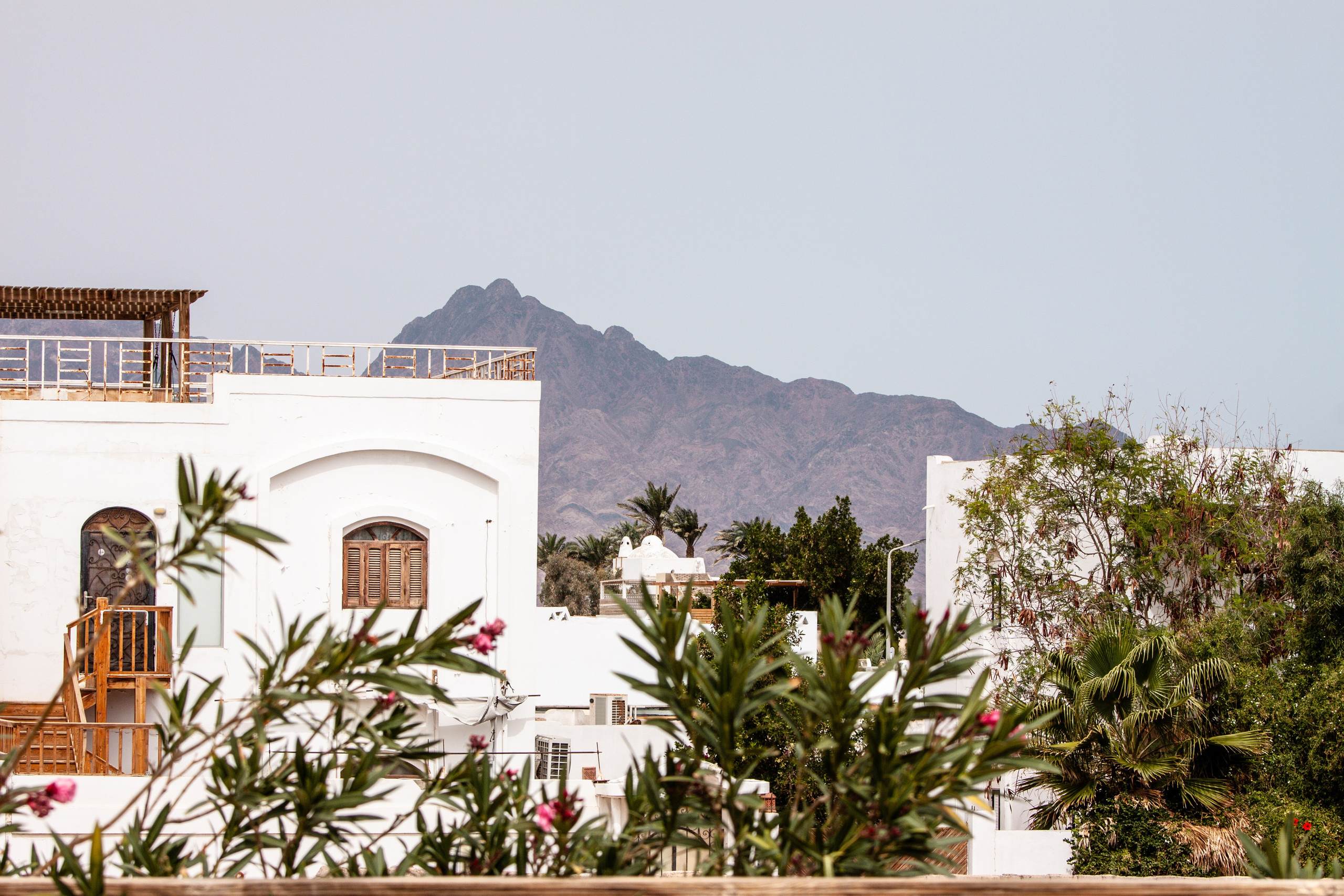 DAHABibi. Дария Галямова — фотограф: открытый, творческий, коммерческий