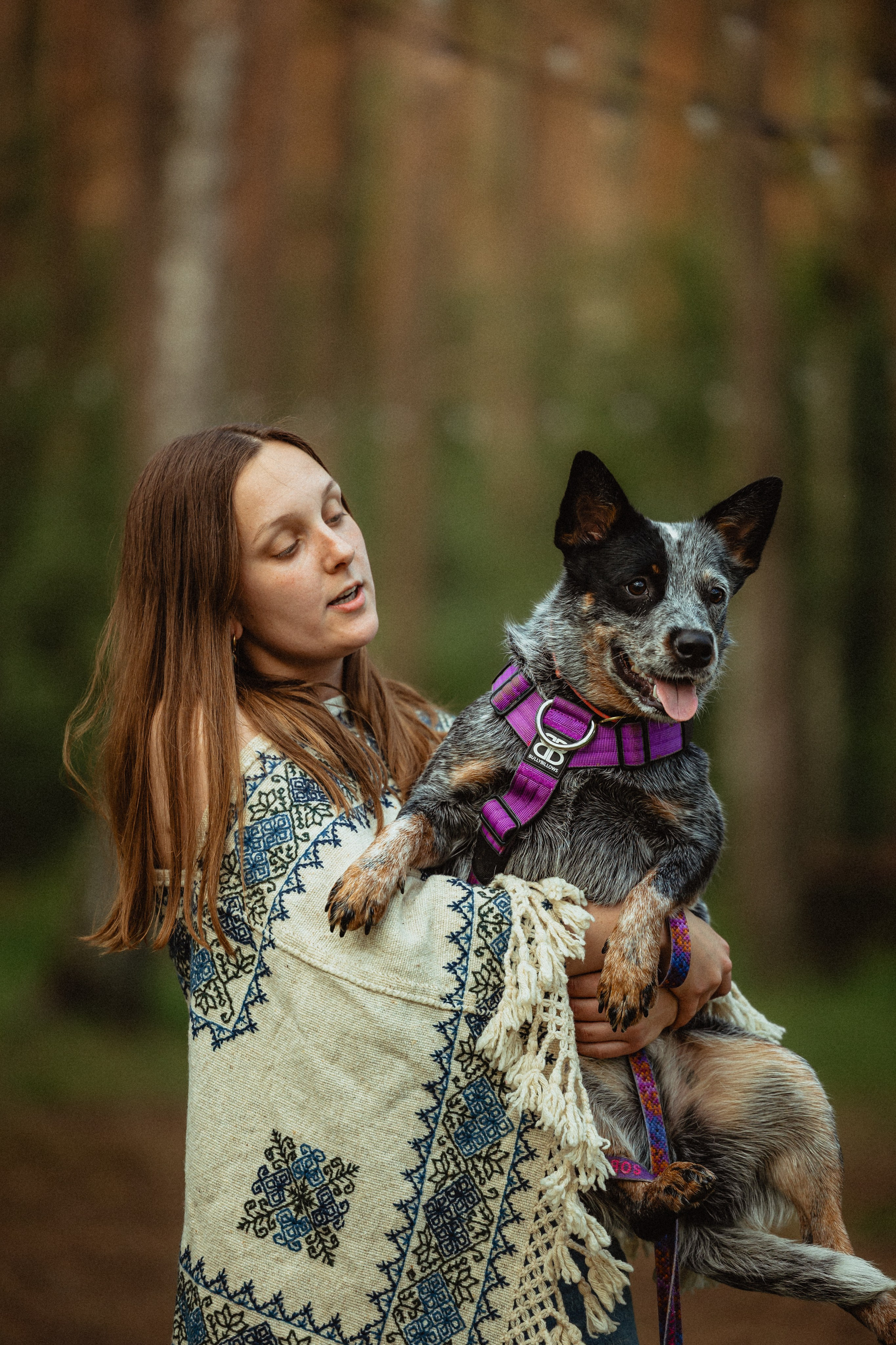 Выездной дог-тренинг от школы «Шерсть имею»