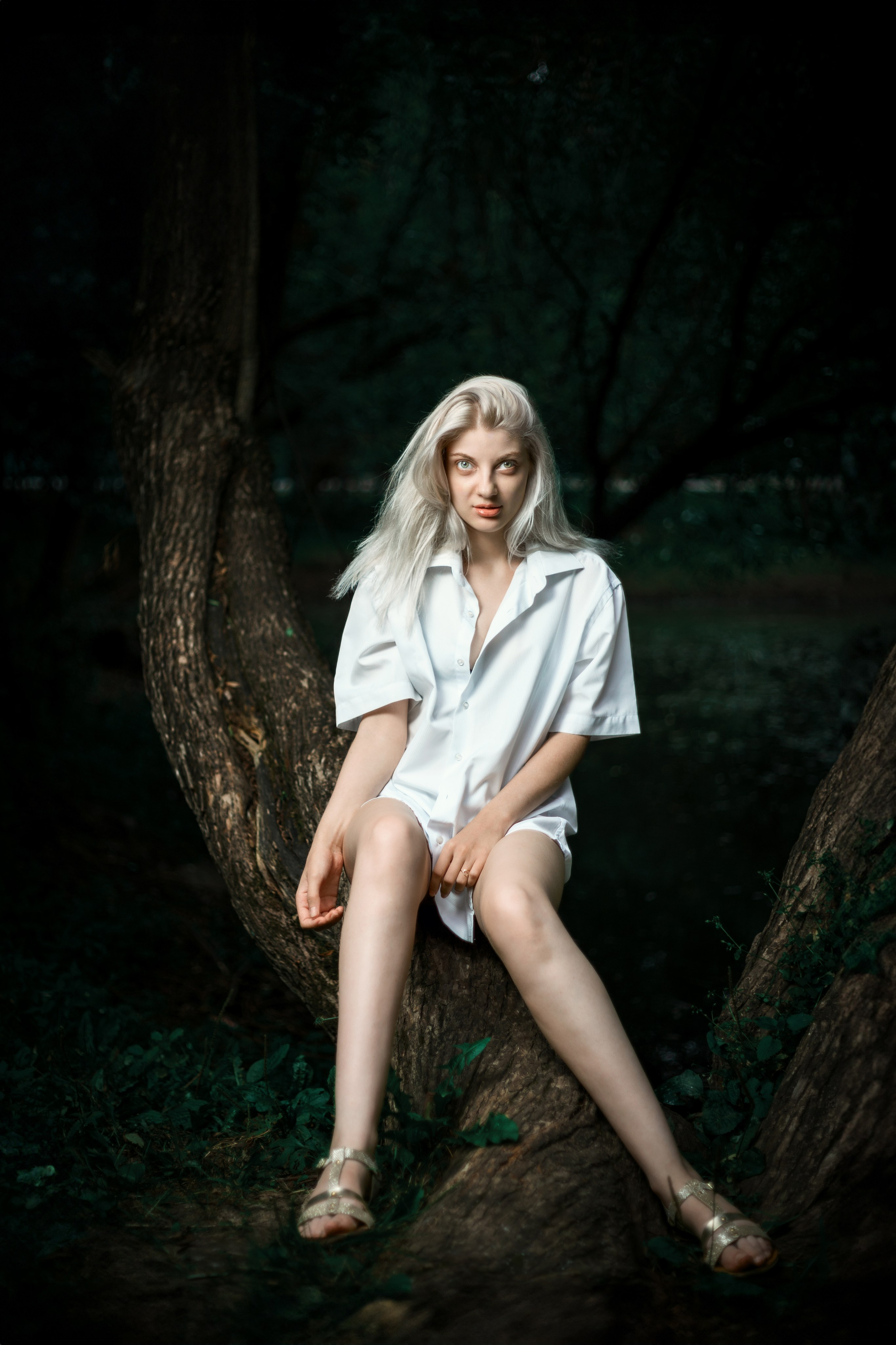 Откройте для себя магию "Белоснежной гармонии" в этом фотоальбоме, где девушка с белоснежными волосами предстаёт в утончённых образах на природе. Наслаждайтесь кадрами, где она лежит на дереве у озера и на траве, с элегантной рубашкой, добавляющей загадочности и эстетики. Девушка, молодая девушка, Блондинка, Фотосеесия, Подросток, Крашенные волосы, Озеро, Рубашка, Позировка, Потрет, Полуголая, Полуголая девушка, Девушка в белье, Дерево, Озеро, Красотка, Ноги, Трава, Ню,