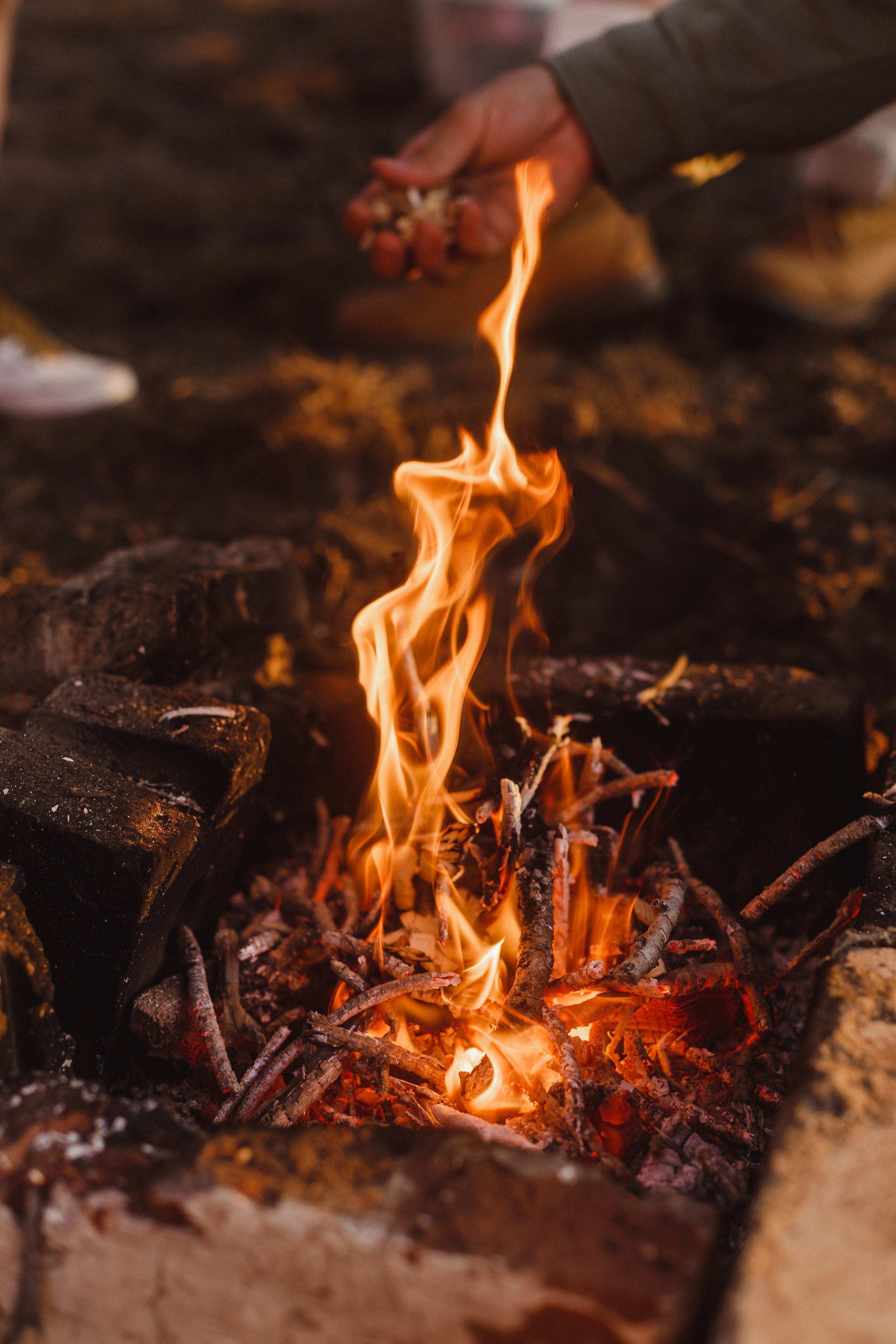 Семейная история. Свадебный и семейный фотограф Дарья Осипова (Никитина). Саратов