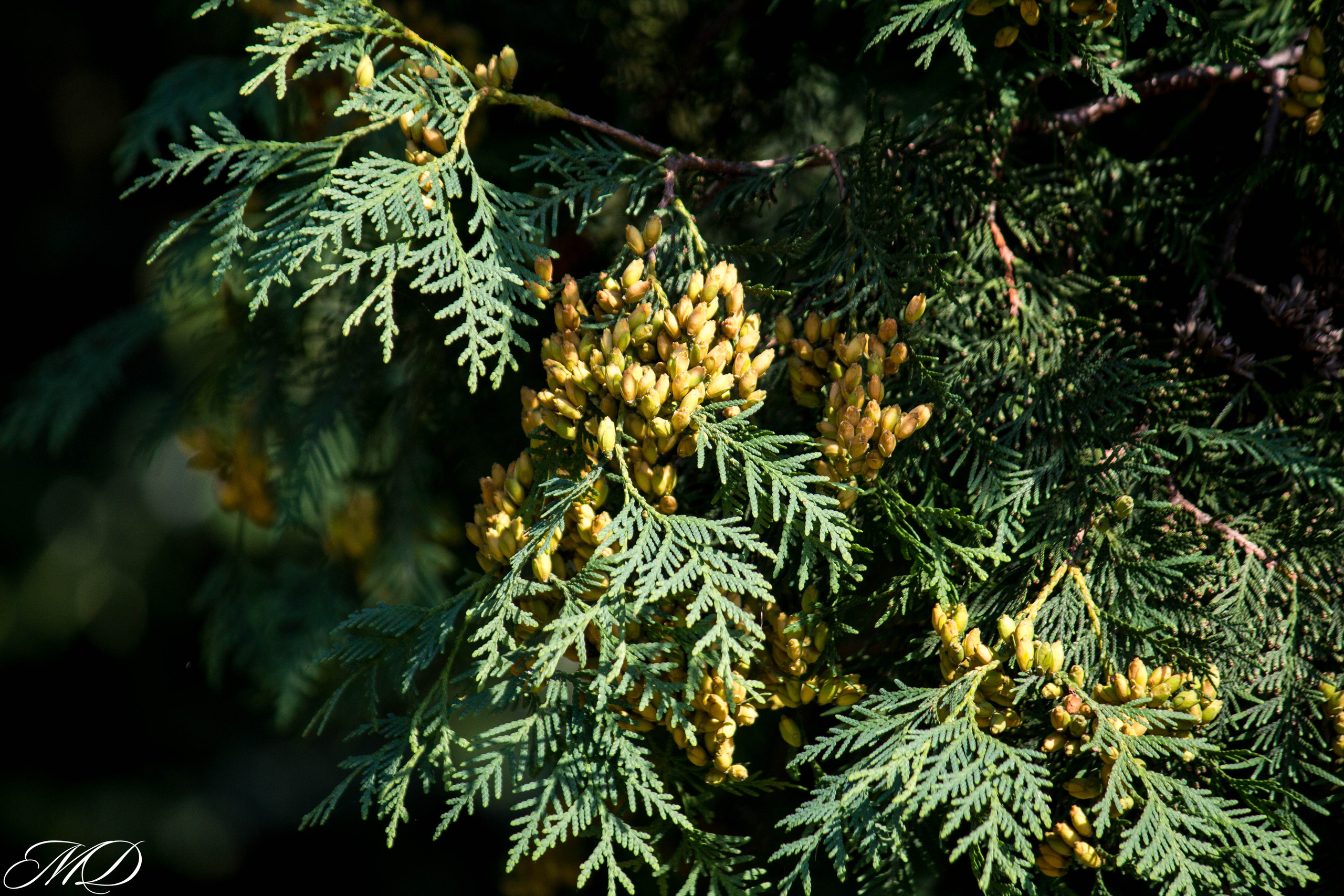 Славянск. Михаил Дёгтев - фотограф