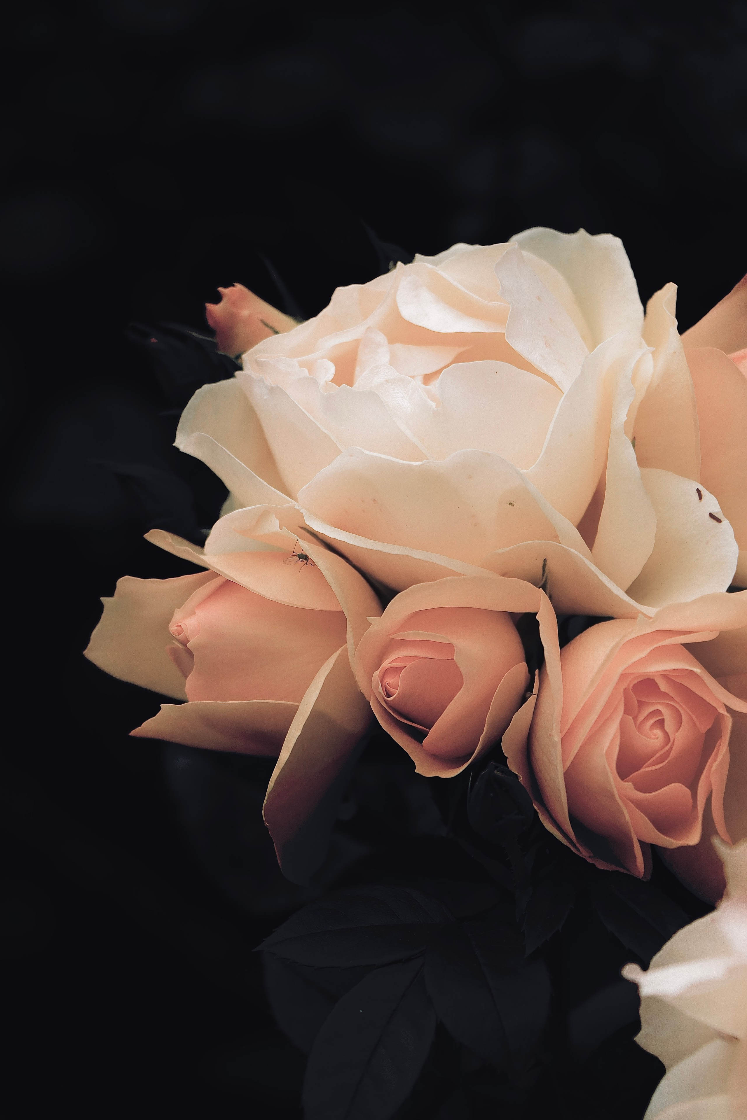 Пейзажи и прочее