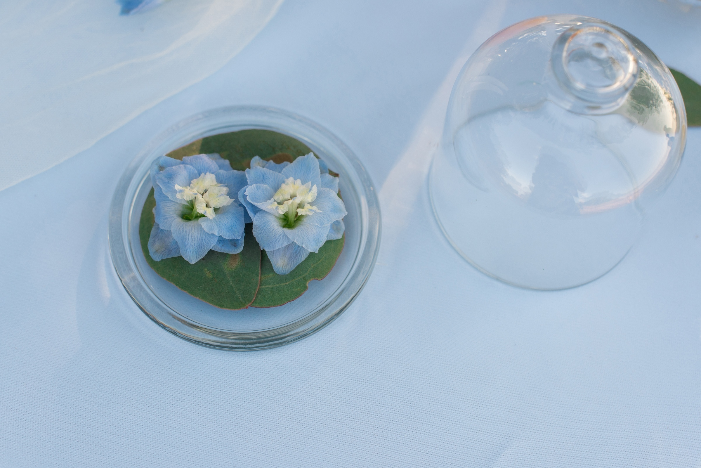 Wedding day. Свадебный фотограф Волгоград Роман Брызгалин и Натали Никитина