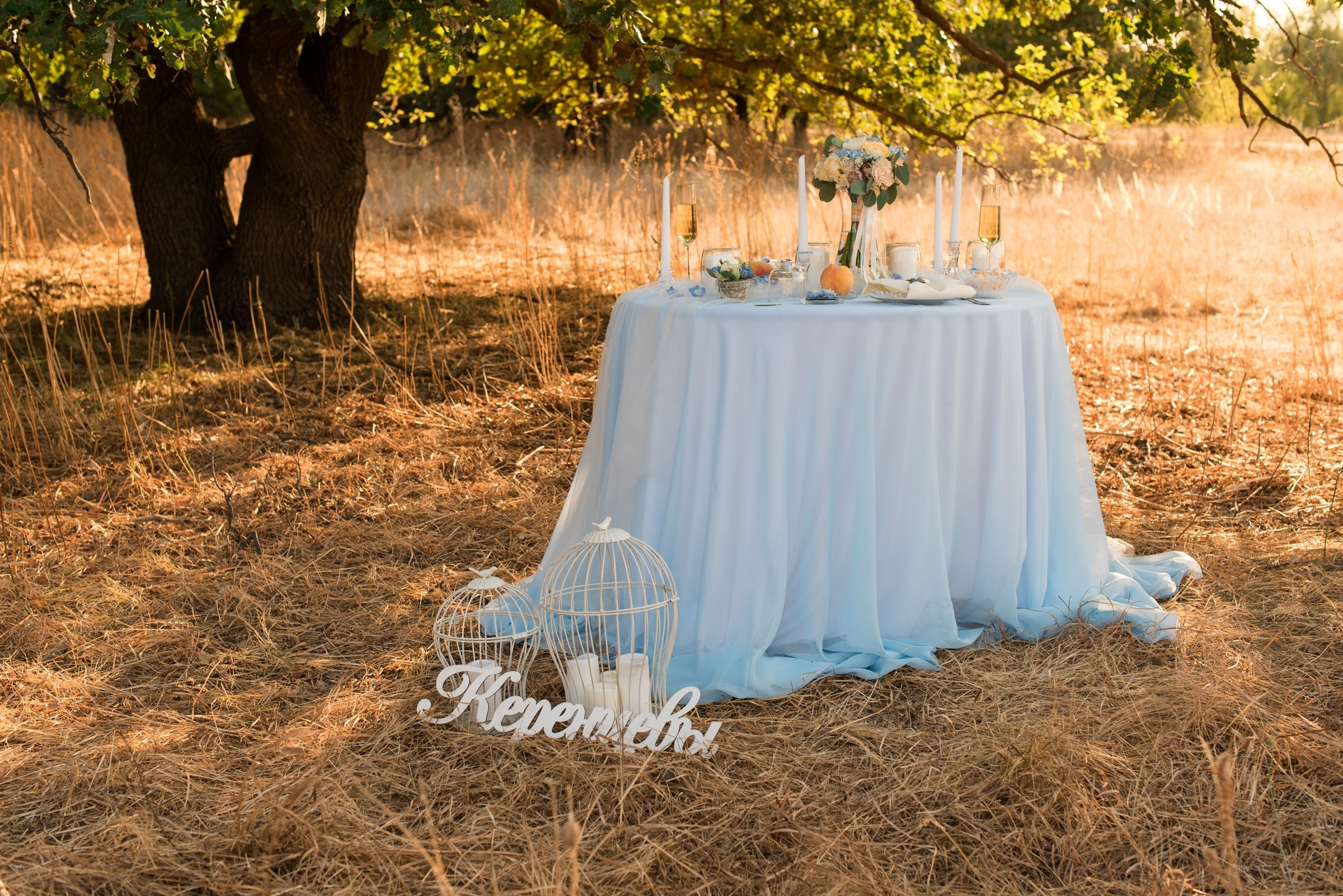 Wedding day. Свадебный фотограф Волгоград Роман Брызгалин и Натали Никитина