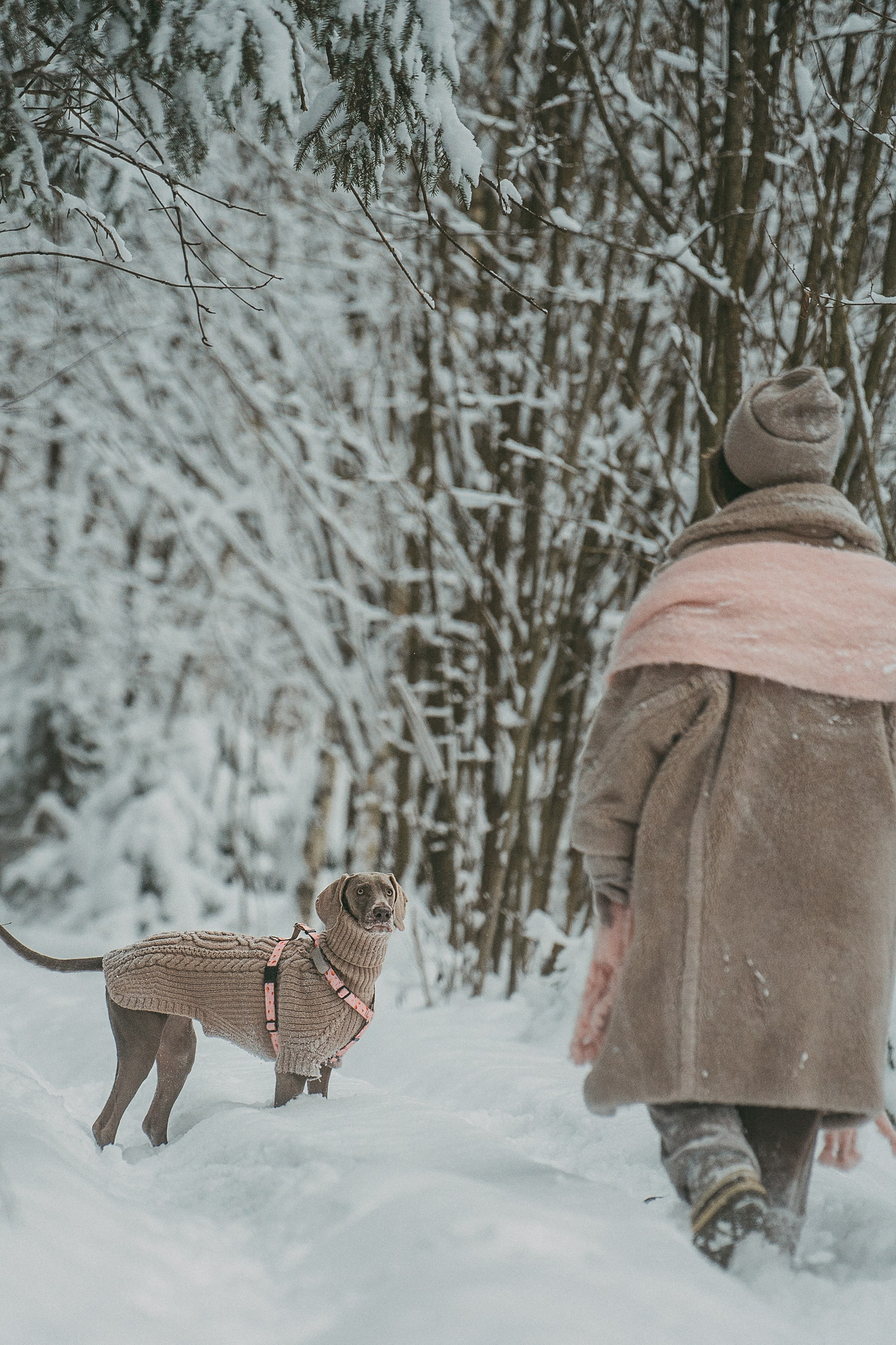Лена и Фанни. Фотограф анималист в Москве и Санкт-Петербурге Свиридова Анна