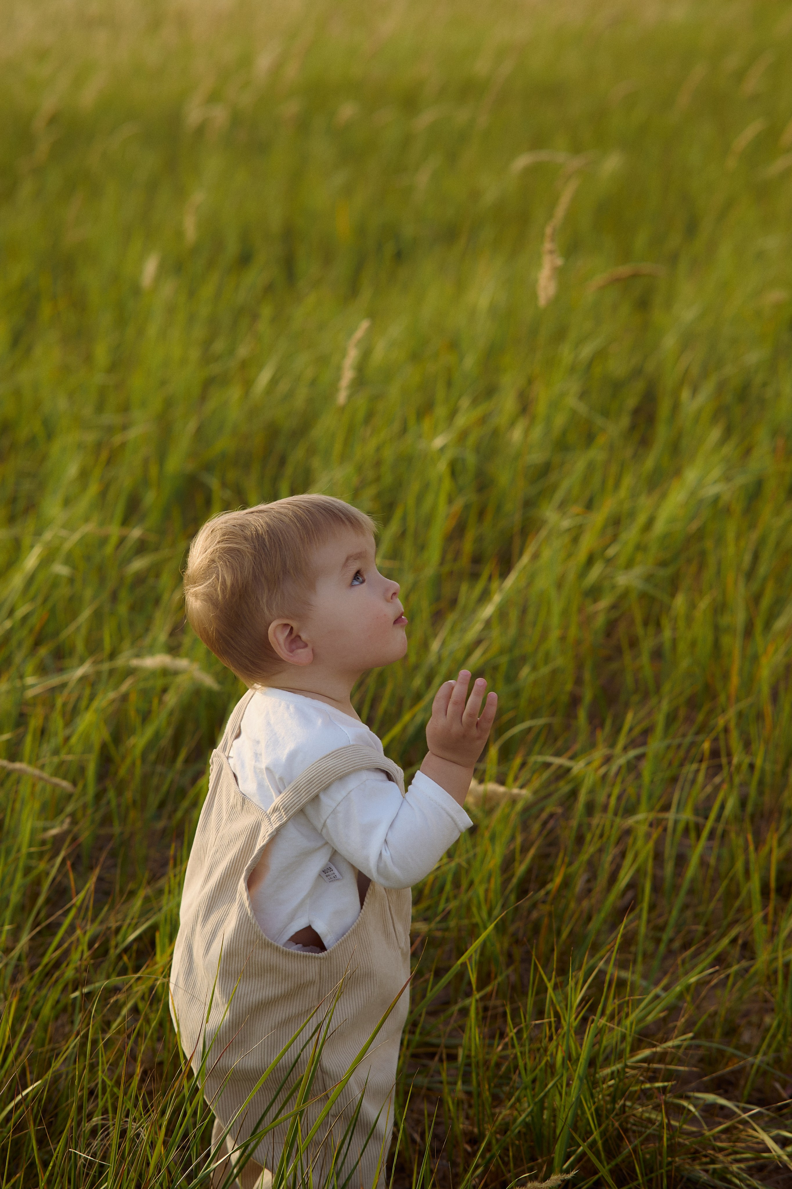 Шамиль, Аня и Марс в поле с барашками. Семейный и свадебный lifestyle-фотограф в Москве Мария Петрова