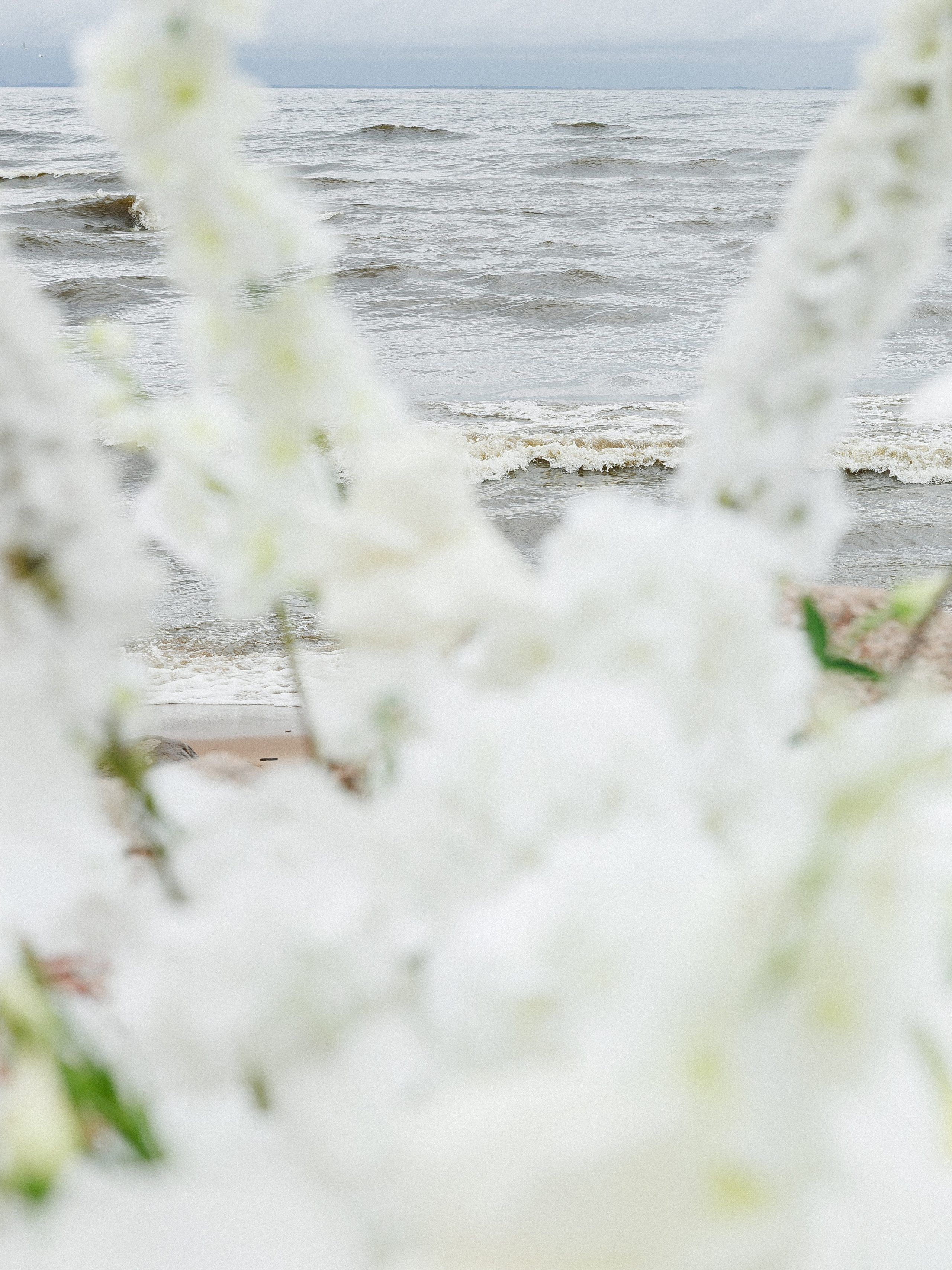 Павел и Анастасия. Свадебное агентство Amorewed Agency