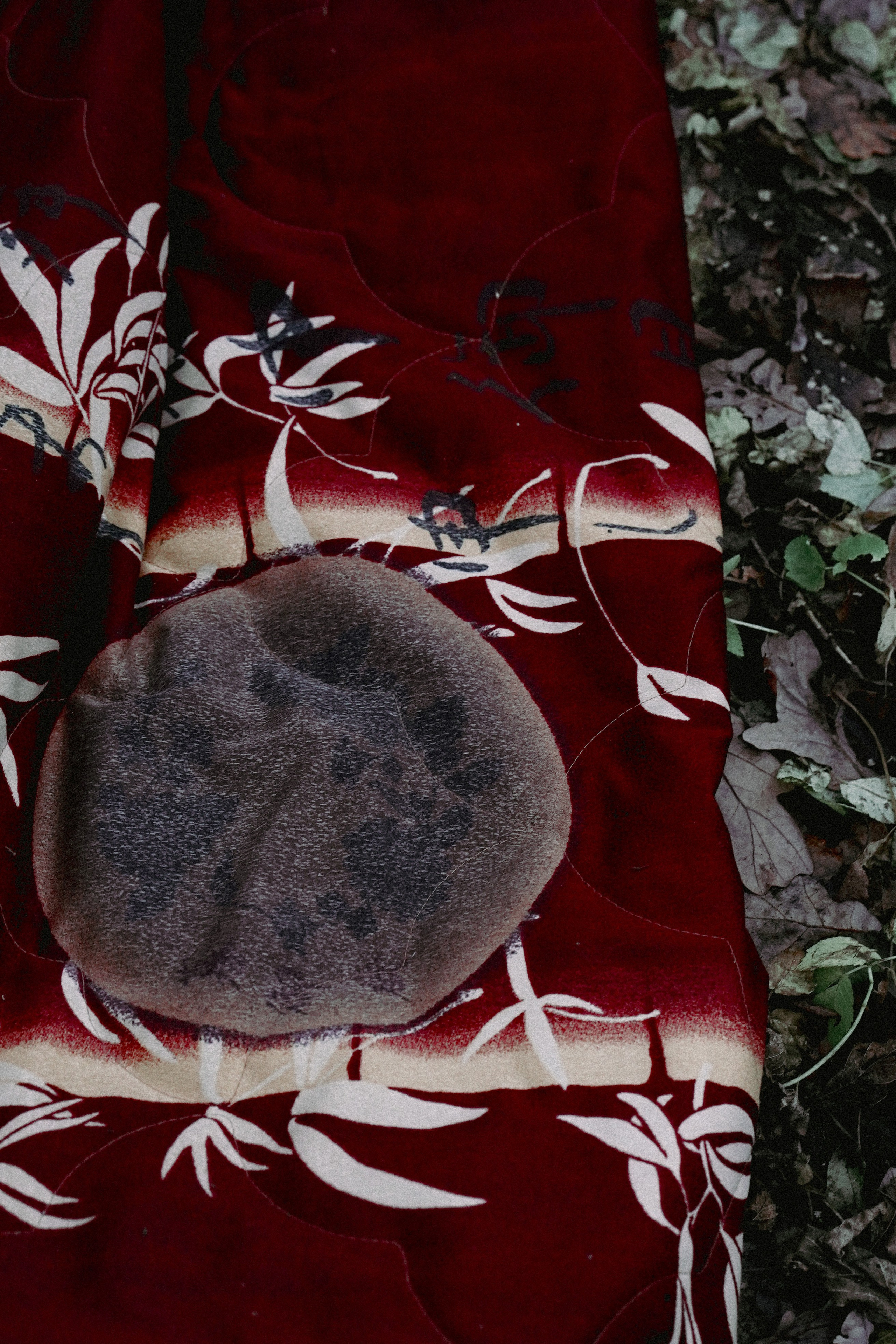 Уличная Съемка (3). Видео и Фото