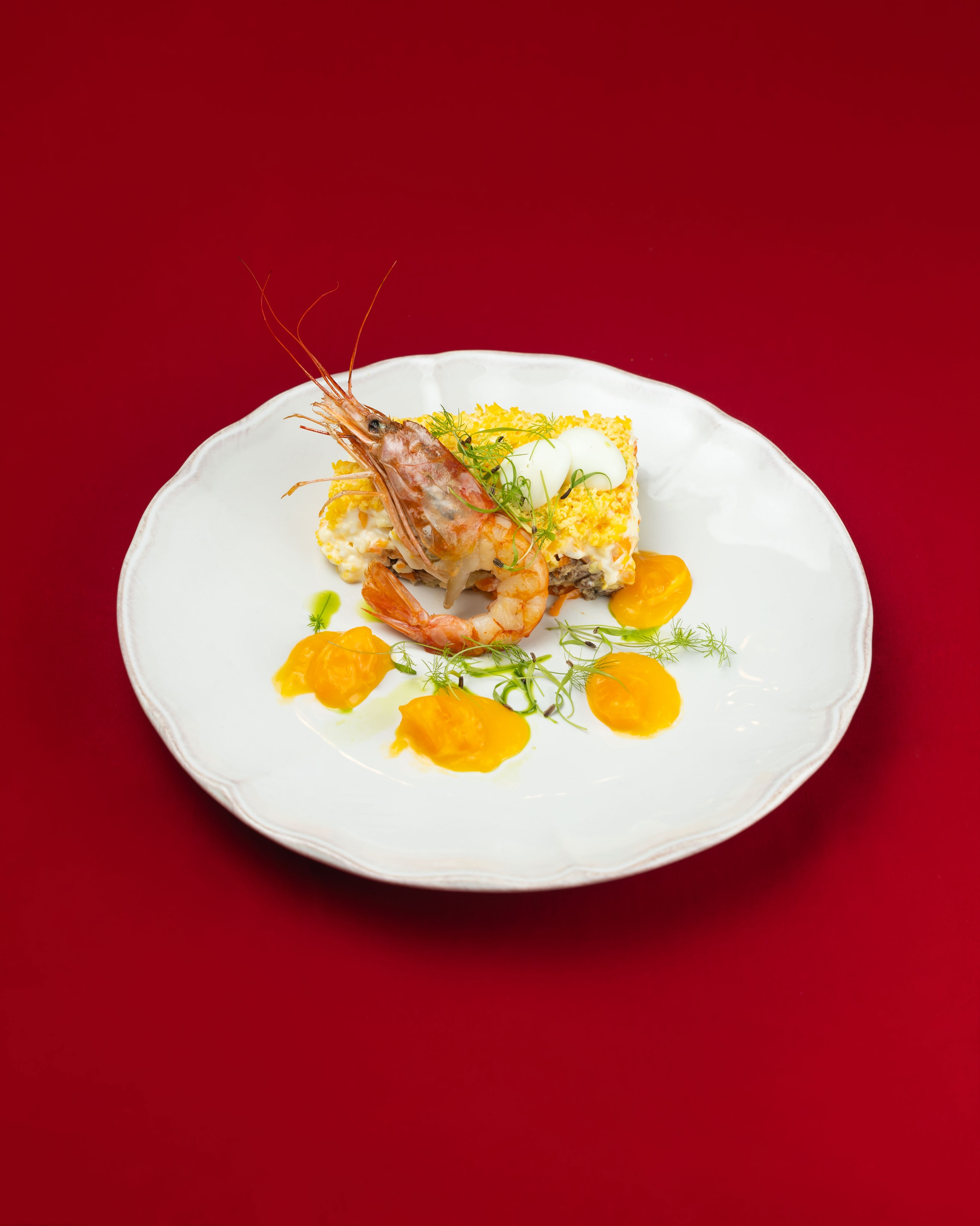 25.11.2025 Сыр Бор, новогодний спешл. ФОТОГРАФ ВИНОГРАДОВА ДАРЬЯ