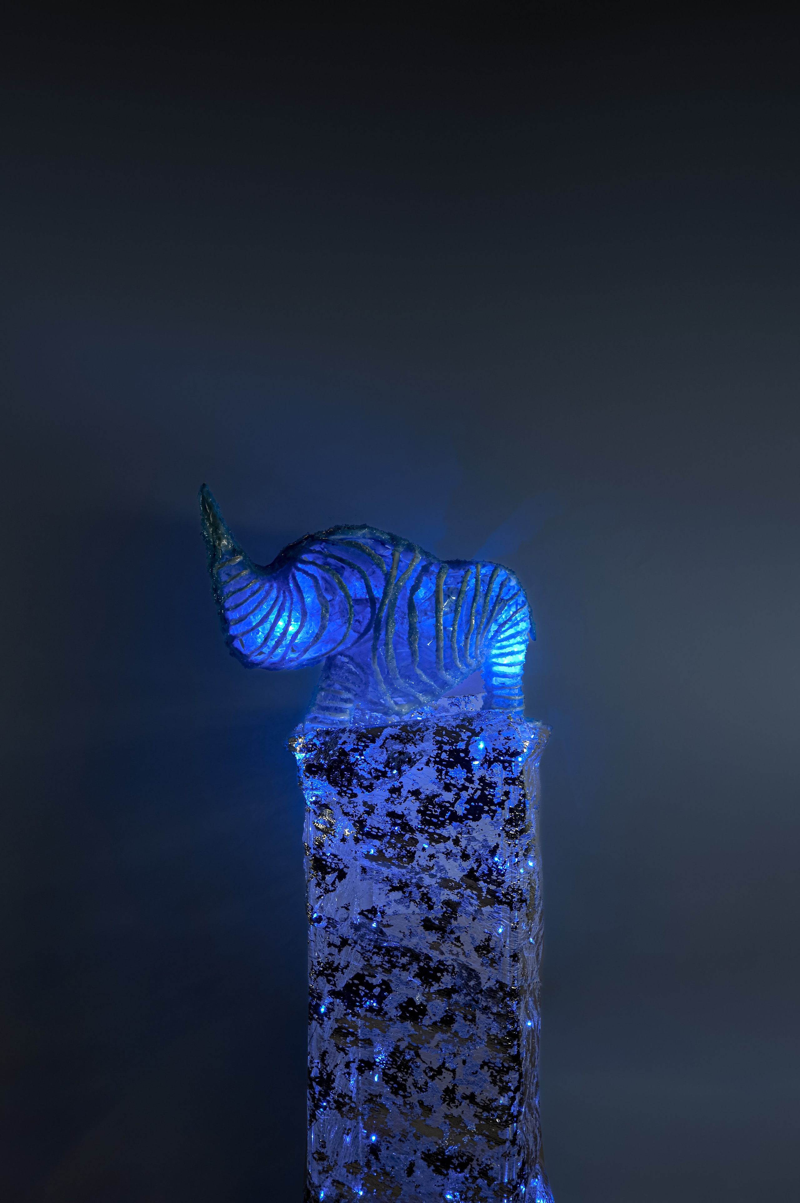 Проект «Призраки» 2024 - 2025гг.  Западный черный носорог - 2013г. размер : стойка 60 см, фигура 36 см на 24 см. Пластик, люминесцентная акриловая краска, полиэтилен, стеклянная крошка, эпоксидная смола. В последние несколько десятилетий тема загрязнения окружающей среды и изменения климата получила широкую огласку. И тревога по поводу вымирания биологических видов не является надуманной.Но человек уже давно привык к таким новостям.Поэтому в своем проекте я не буду углубляться в детали этой проблемы. Моя цель – показать исчезнувшие виды животных, которые мы потеряли в последнее время. Это «призраки» из пластика и полиэтилена, хотя не так давно они были сильными, дикими и свободными животными. К каждой работе дана подпись с указанием вида животного и официального года его исчезновения.