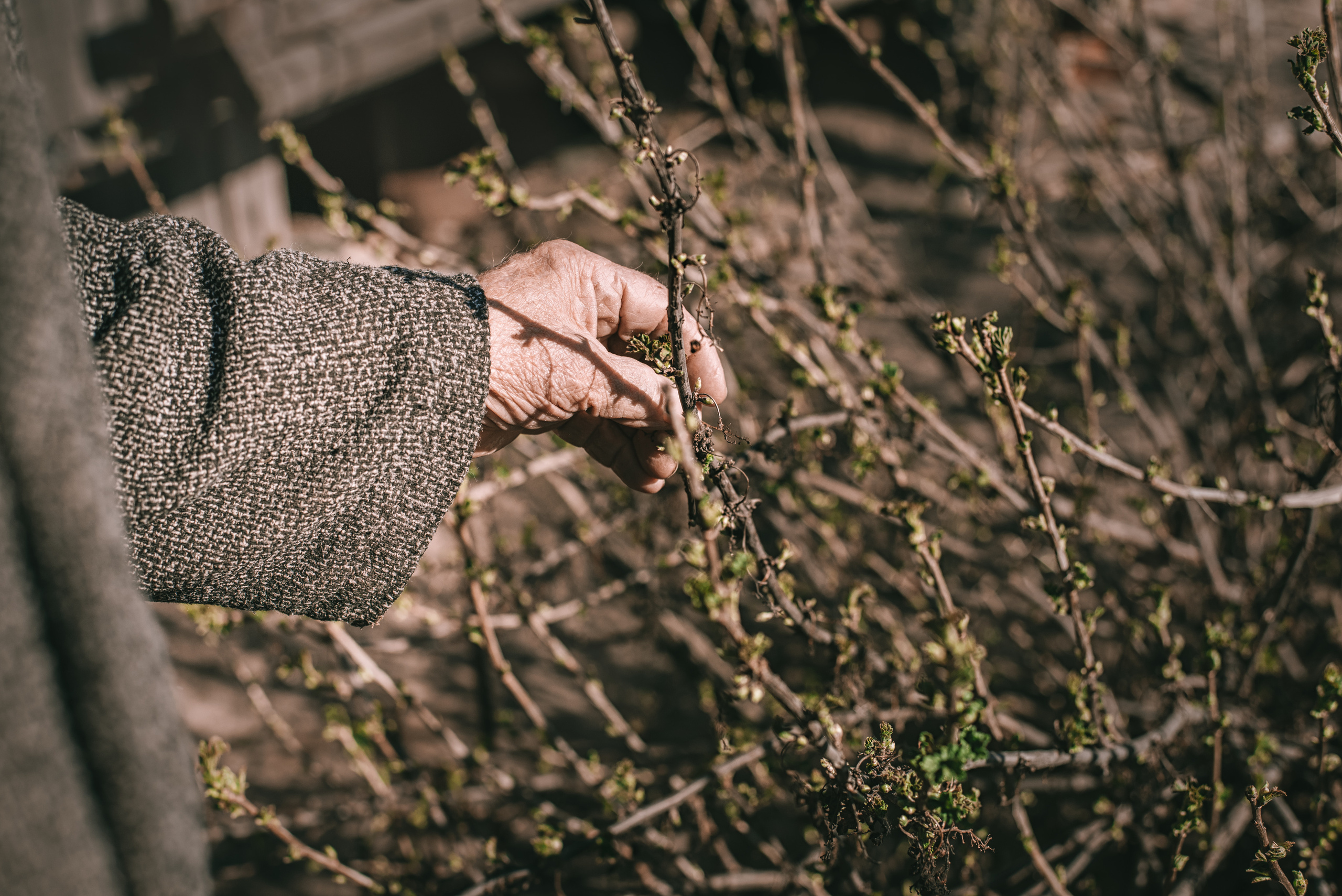 О сокровенном. Душевная фотография от сердца к сердцу Марина Жиделева фотограф Москва