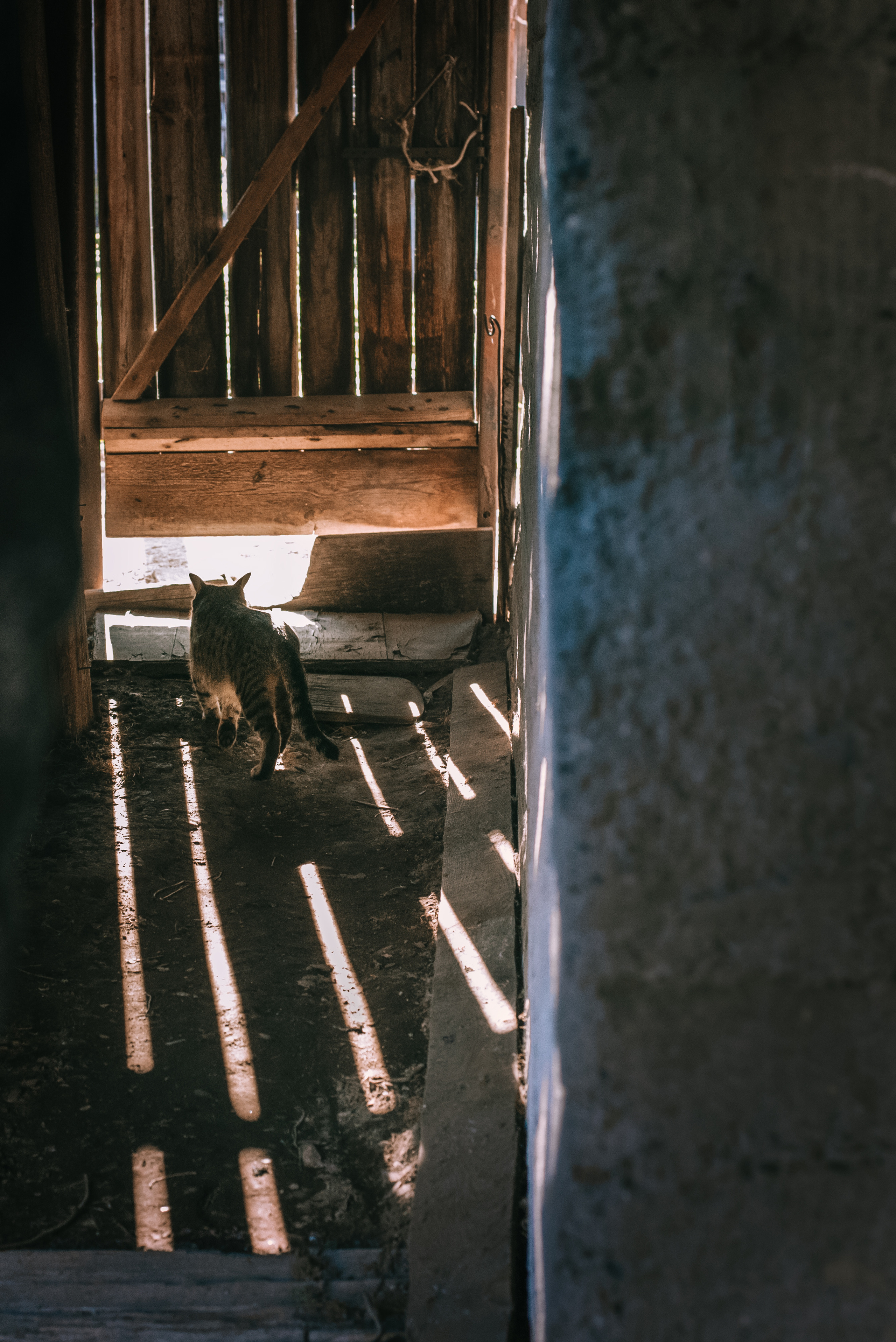 О сокровенном. Душевная фотография от сердца к сердцу Марина Жиделева фотограф Москва