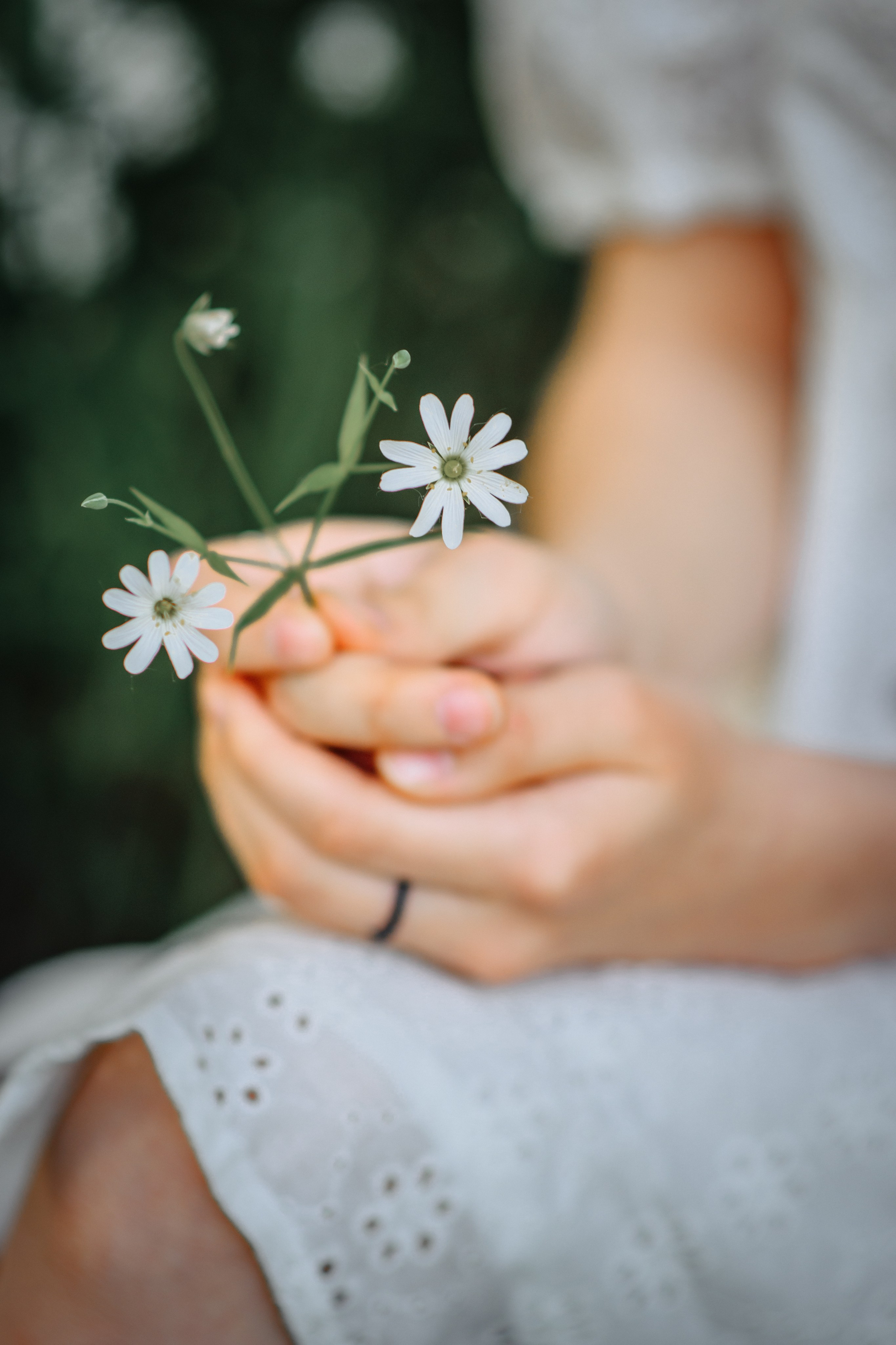 Оранжевый закат. Фотограф в Ижевске Наталья Медведцева