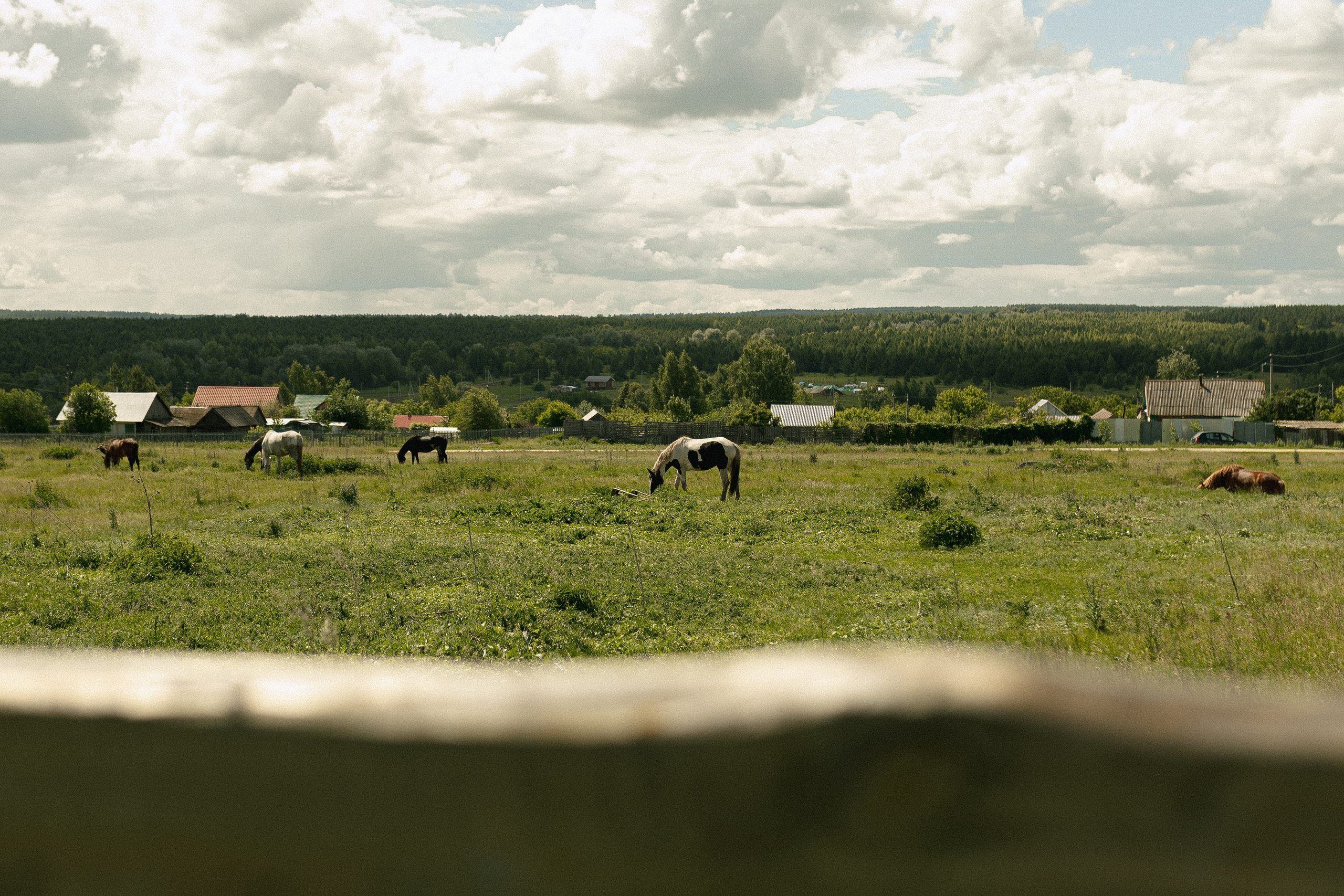 Лера и Илья. Фотограф Полина Безрядина