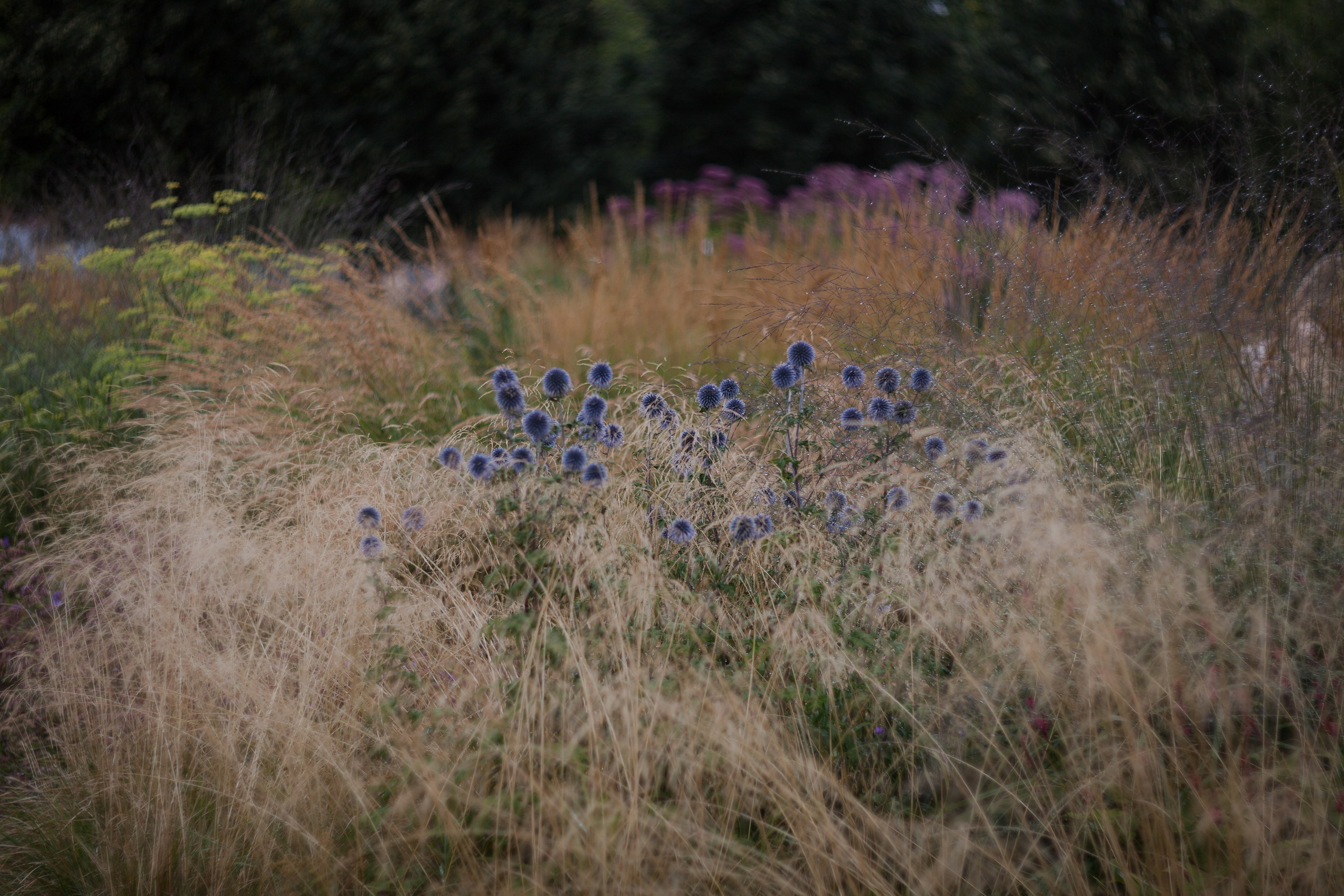 Новая Голландия — объект культурного наследия народов РФ федерального значения. Туманов Виталий — фотограф Москва