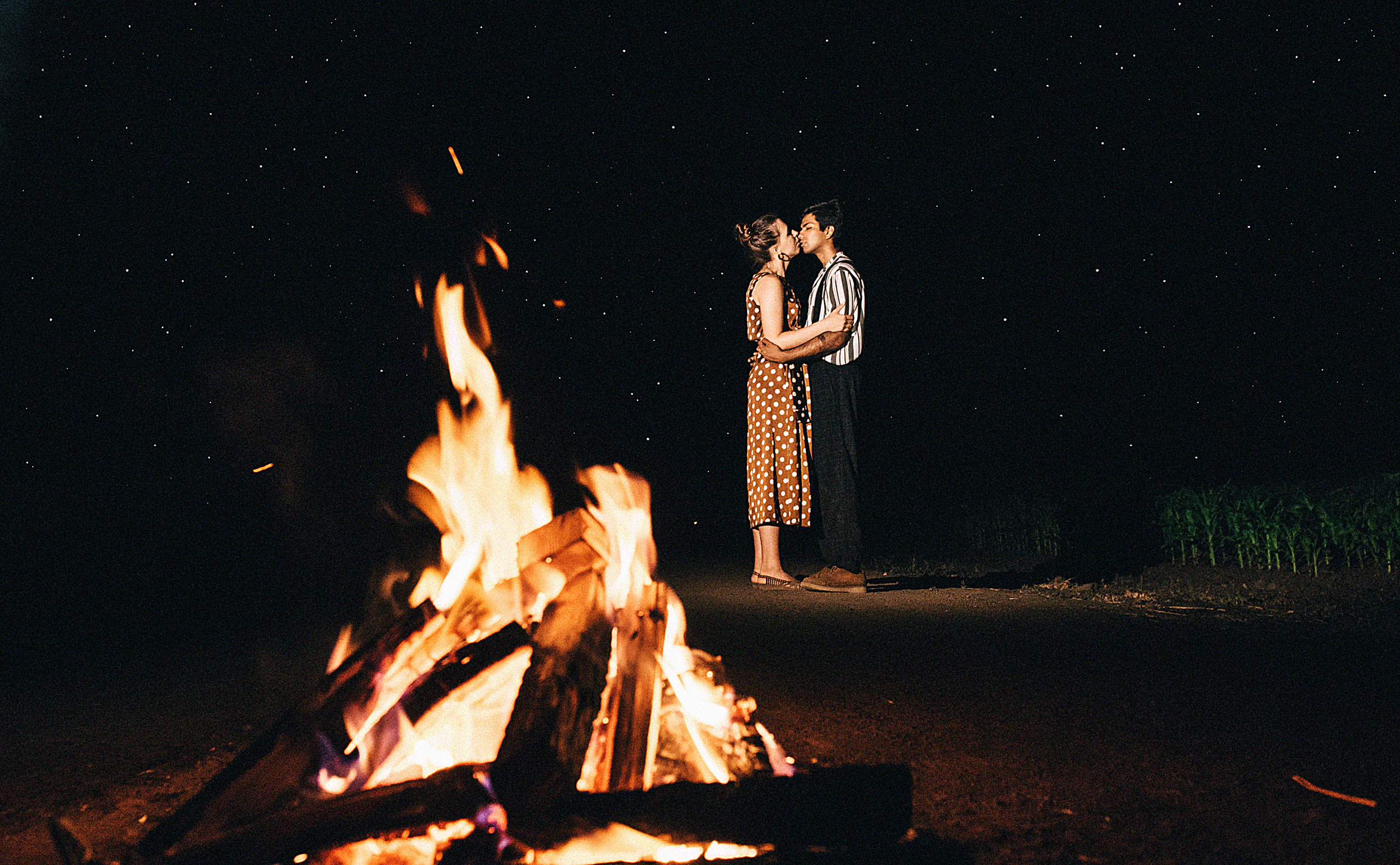 Love story в кукурузных полях. Свадебный и семейный фотограф в Краснодаре