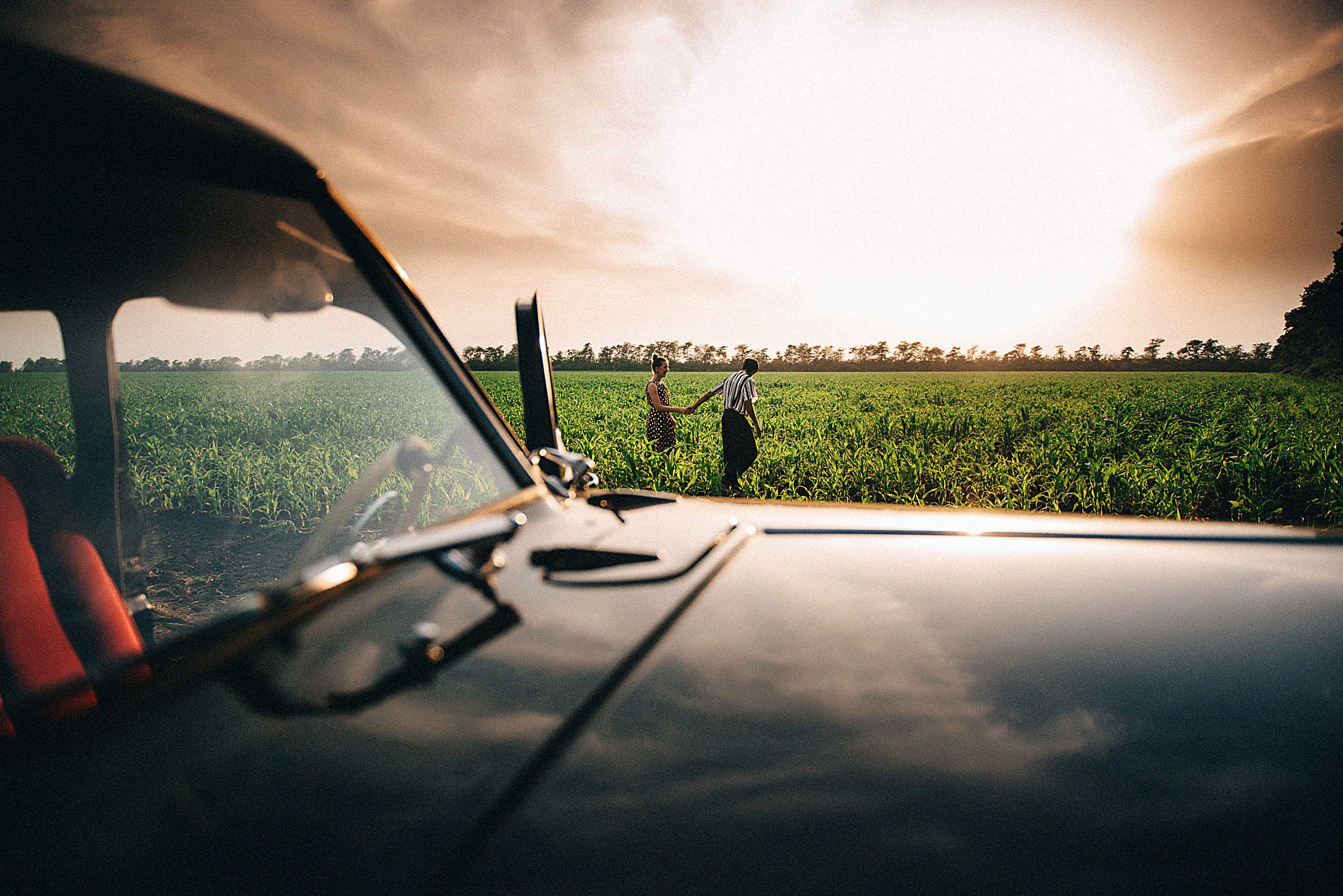 Love story в кукурузных полях. Свадебный и семейный фотограф в Краснодаре