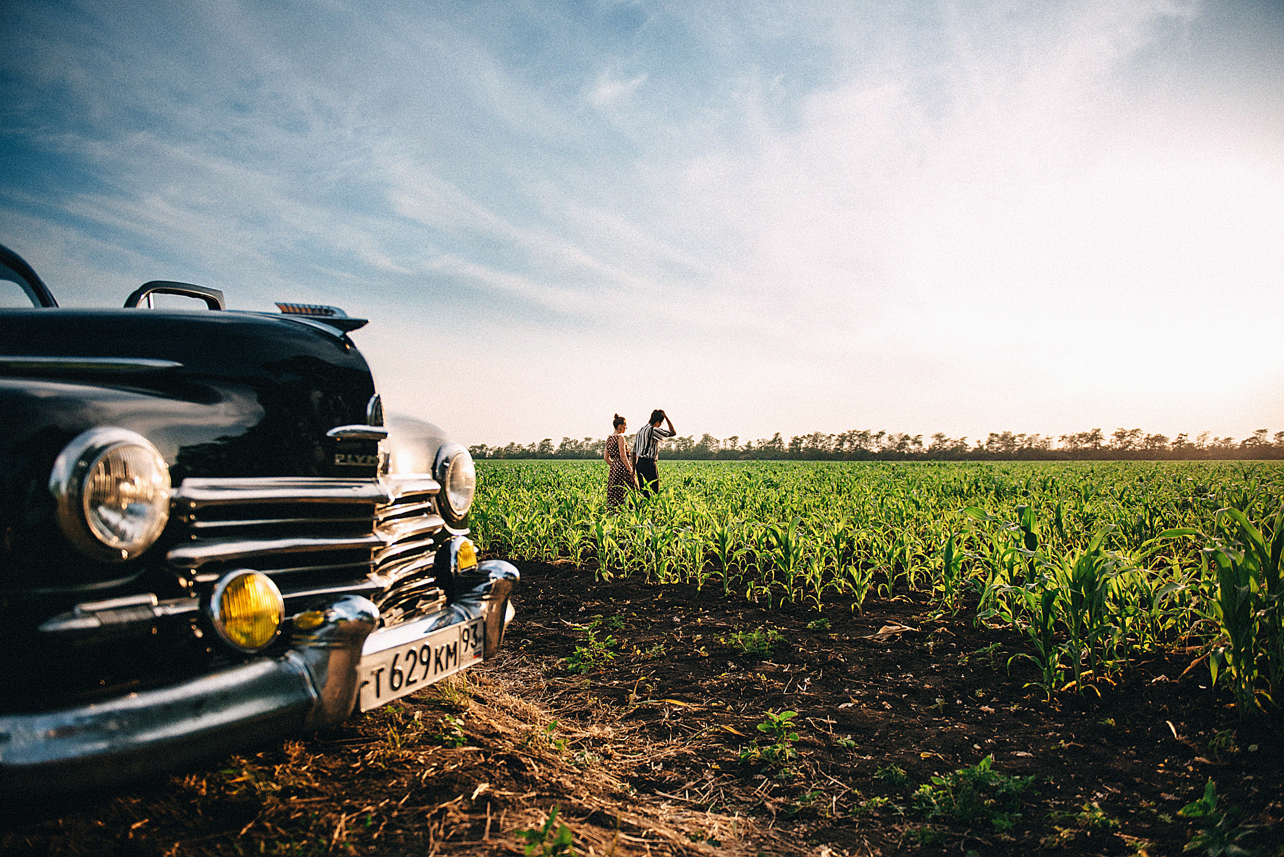 Love story в кукурузных полях. Свадебный и семейный фотограф в Краснодаре