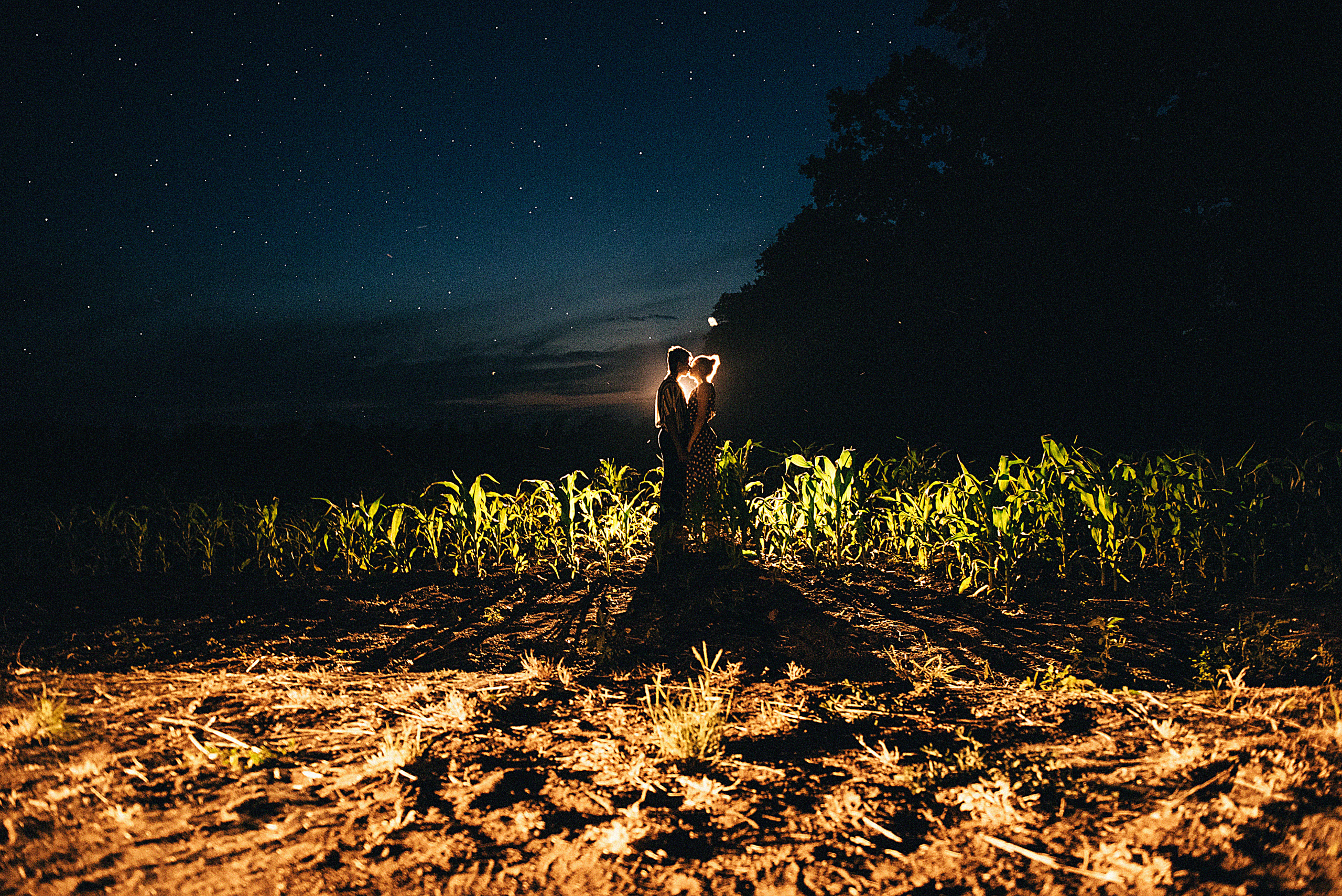 Love story в кукурузных полях. Свадебный и семейный фотограф в Краснодаре