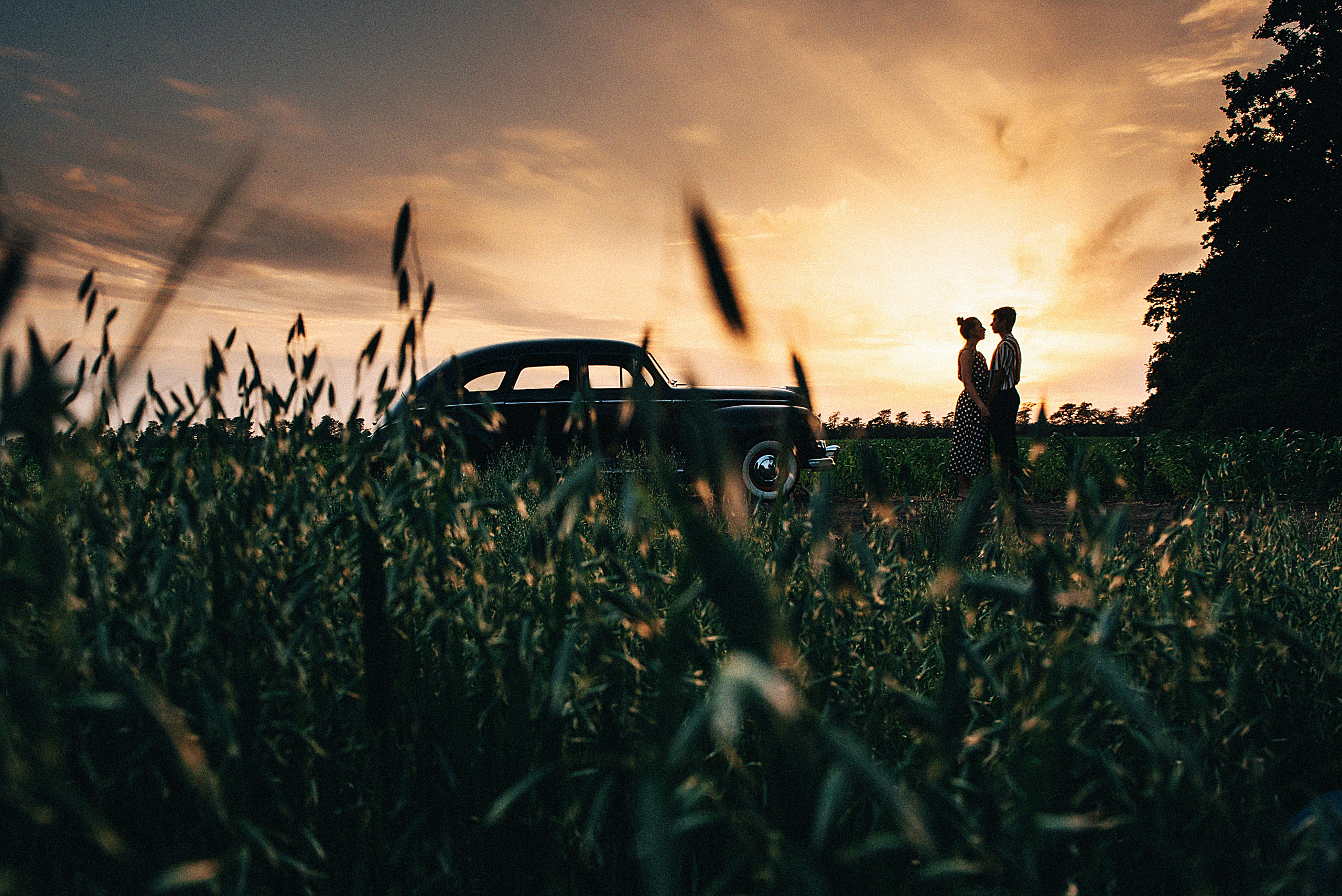 Love story в кукурузных полях. Свадебный и семейный фотограф в Краснодаре