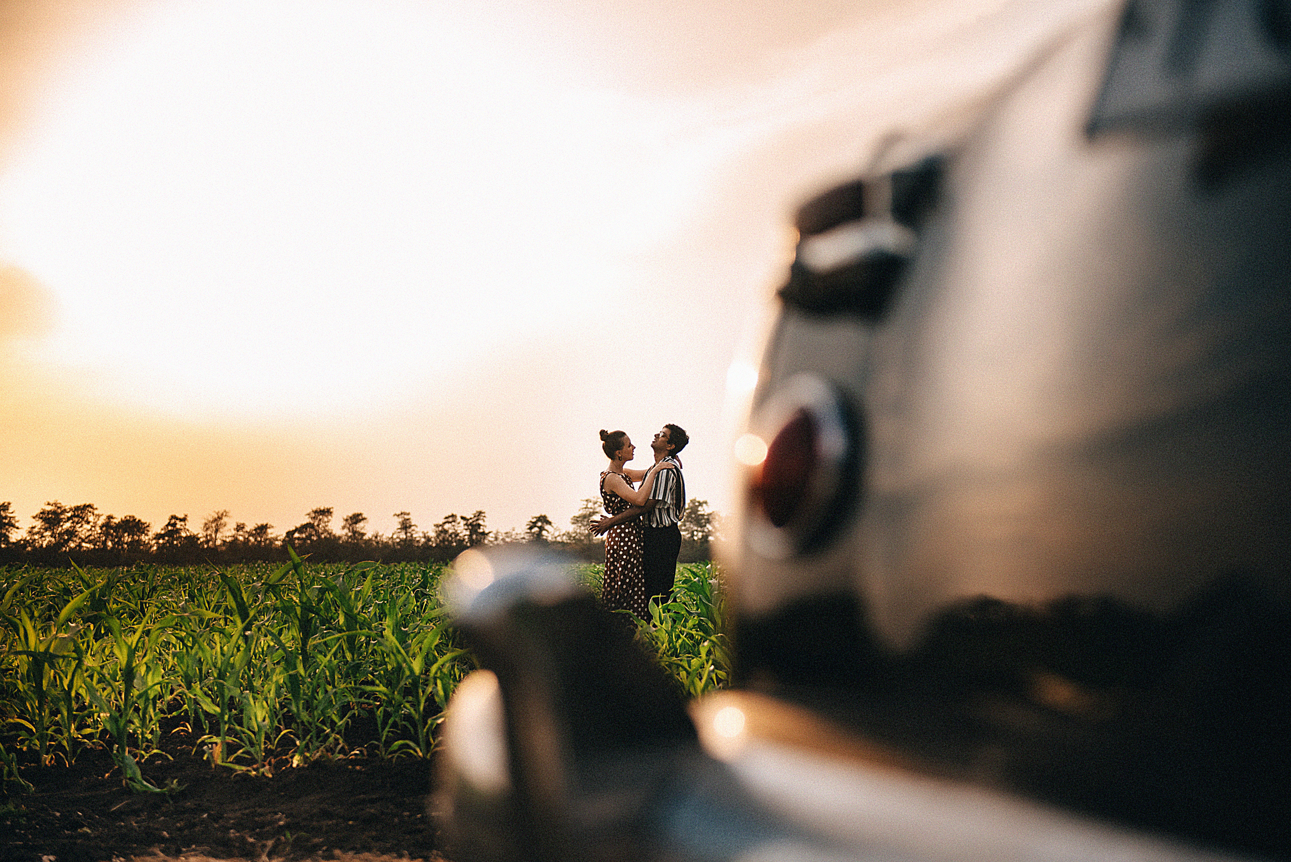 Love story в кукурузных полях. Свадебный и семейный фотограф в Краснодаре